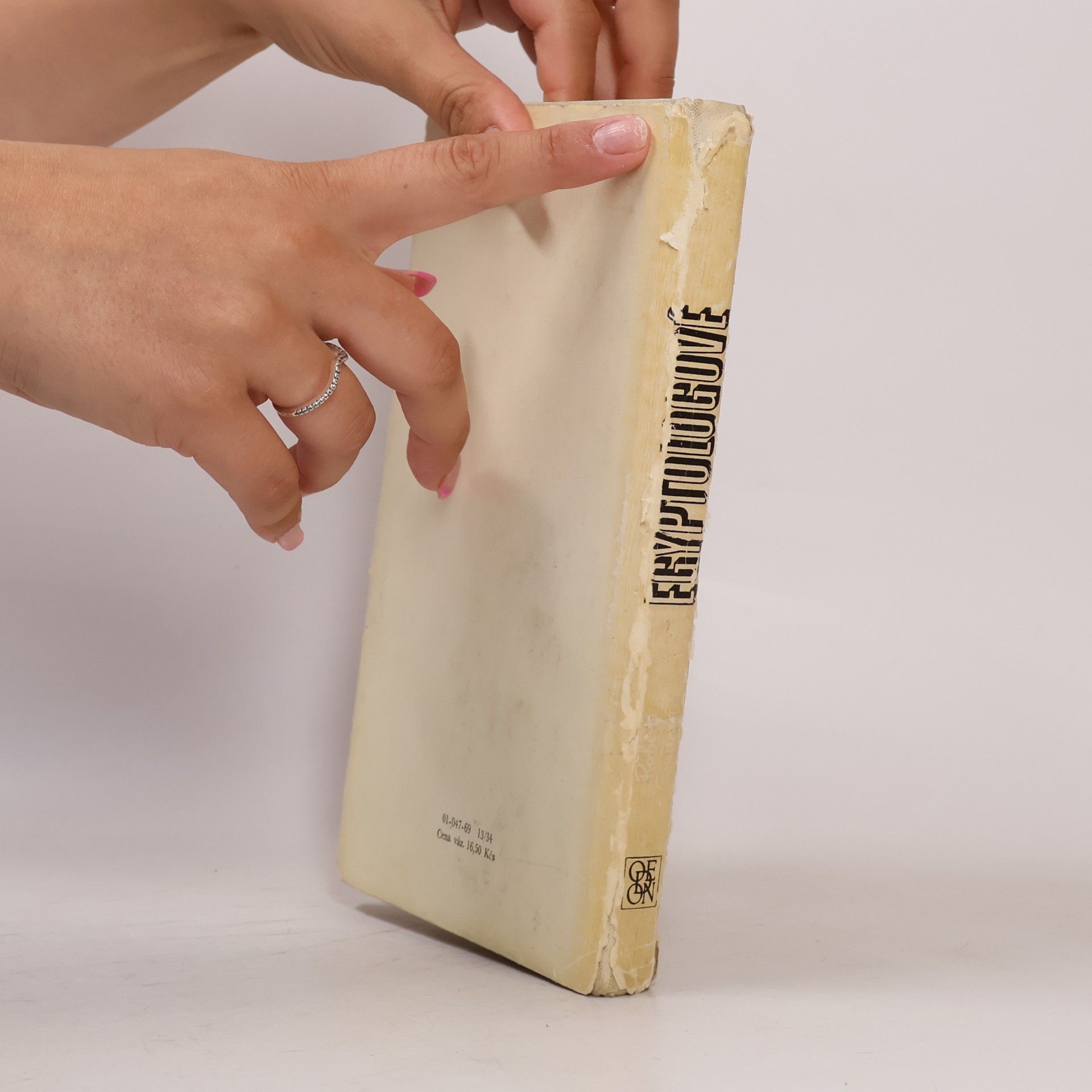 Kingsley Amis Egyptologové