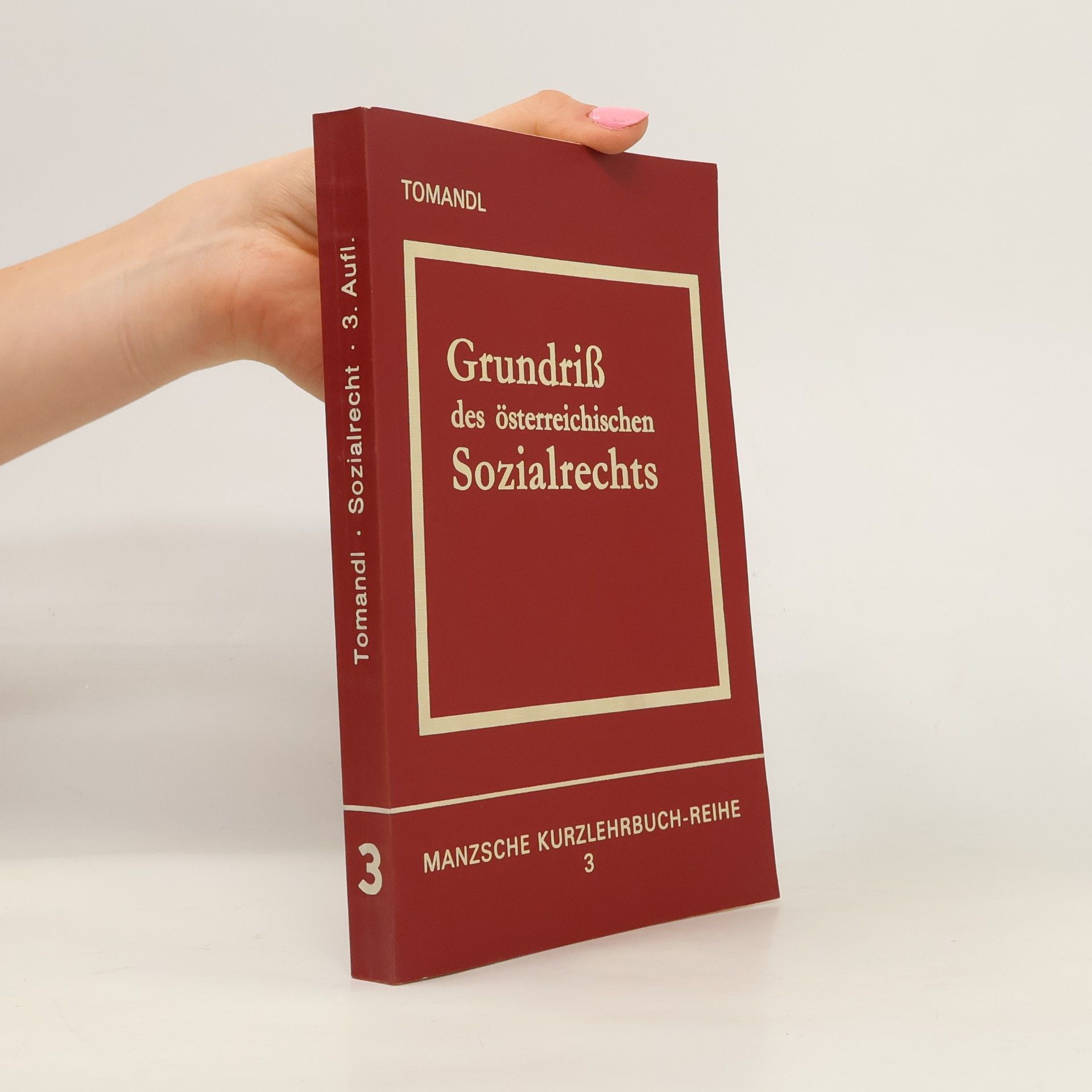 Theodor Tomandl Grundriss des österreichischen Sozialrechts - 3. Auflage