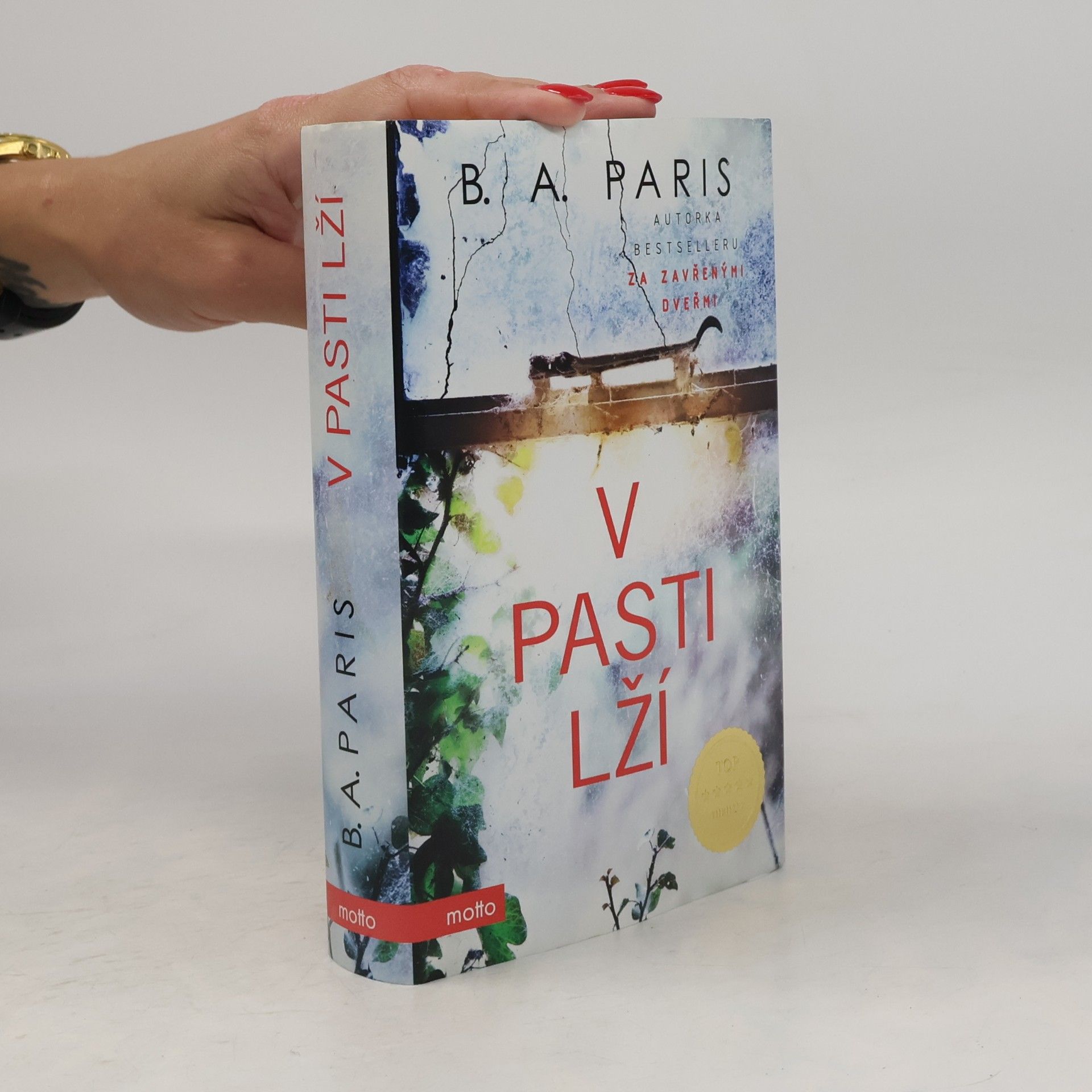 B.A. Paris V pasti lží