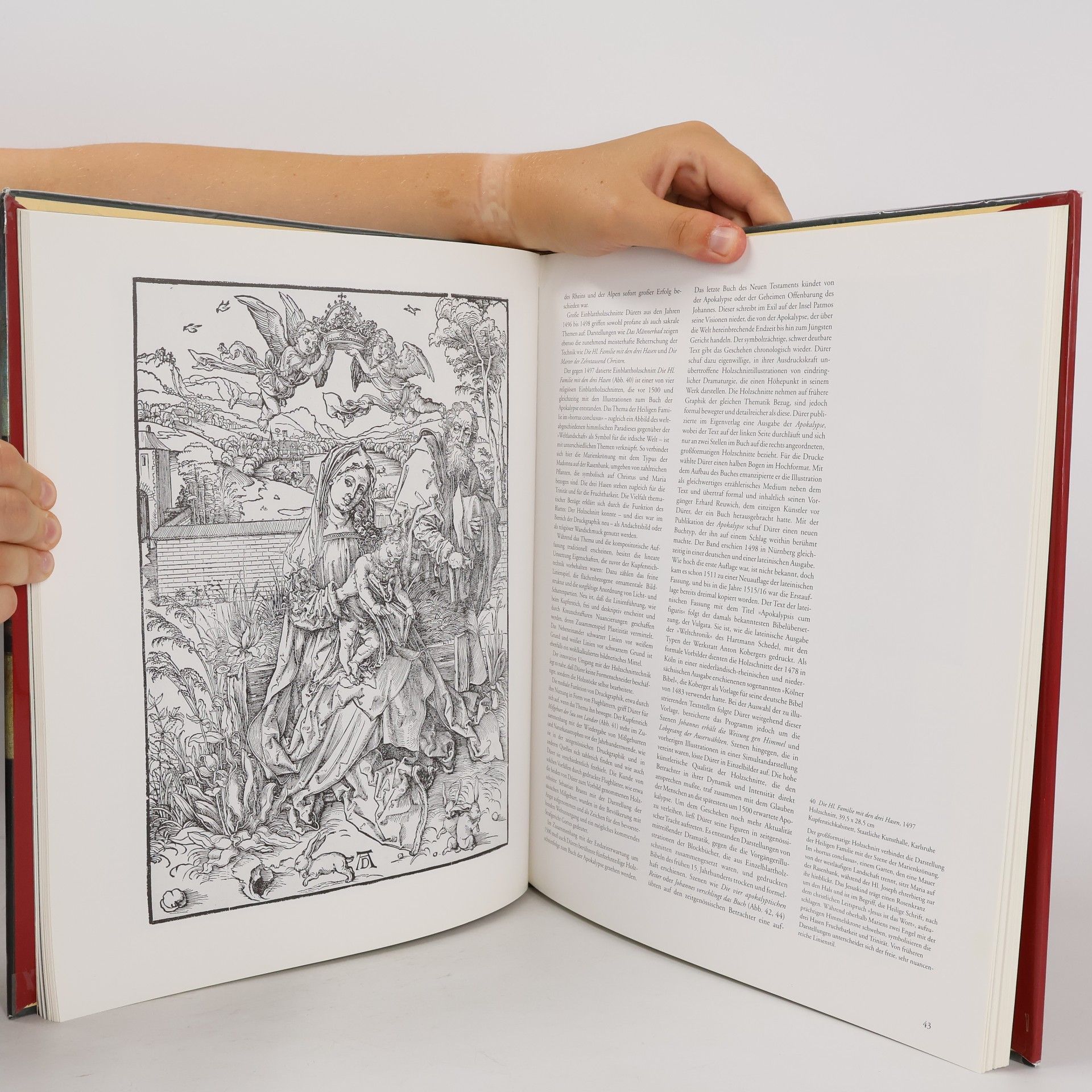 Anja Franziska Eichler Albrecht Dürer