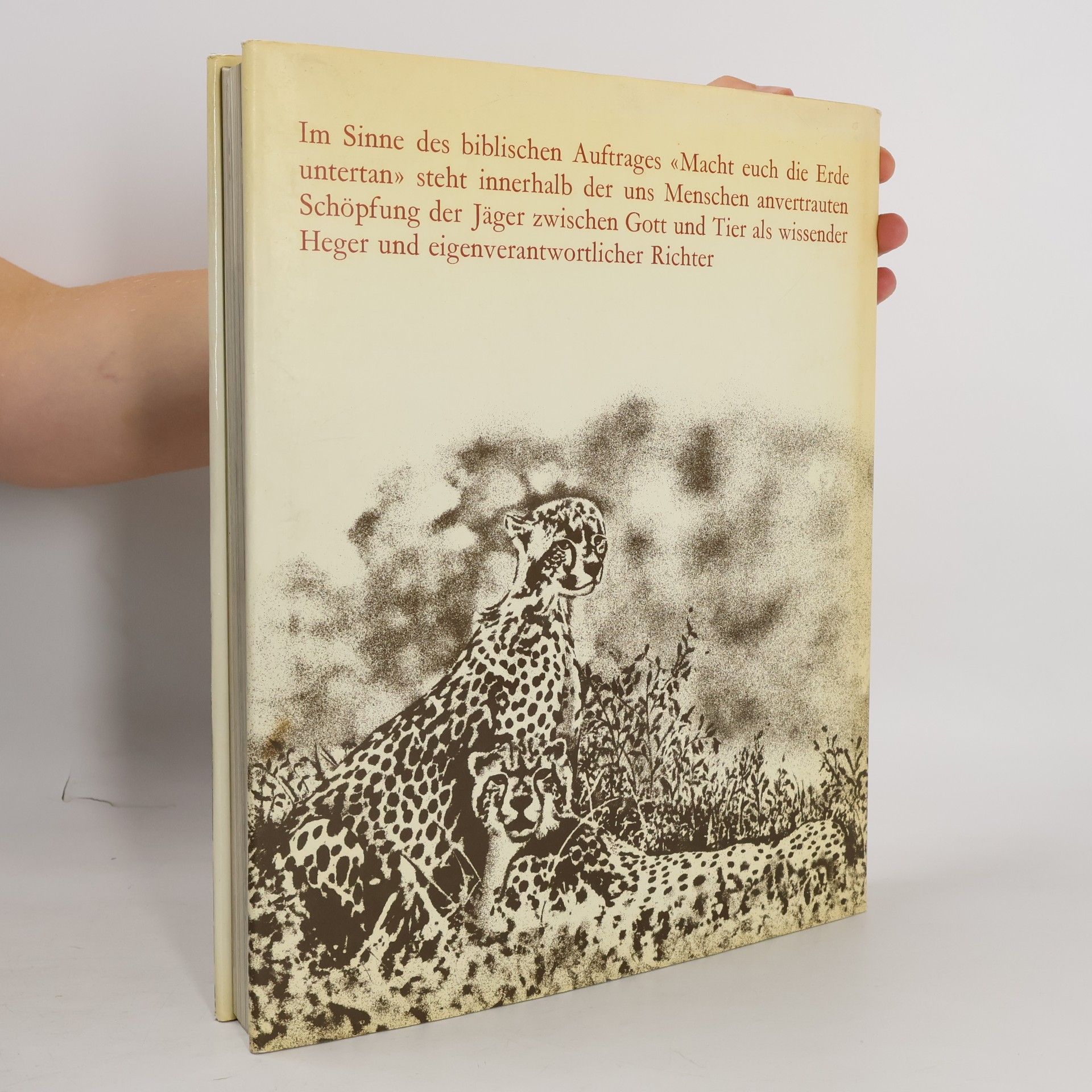 Ruth Bucher Das Buch der Jagd