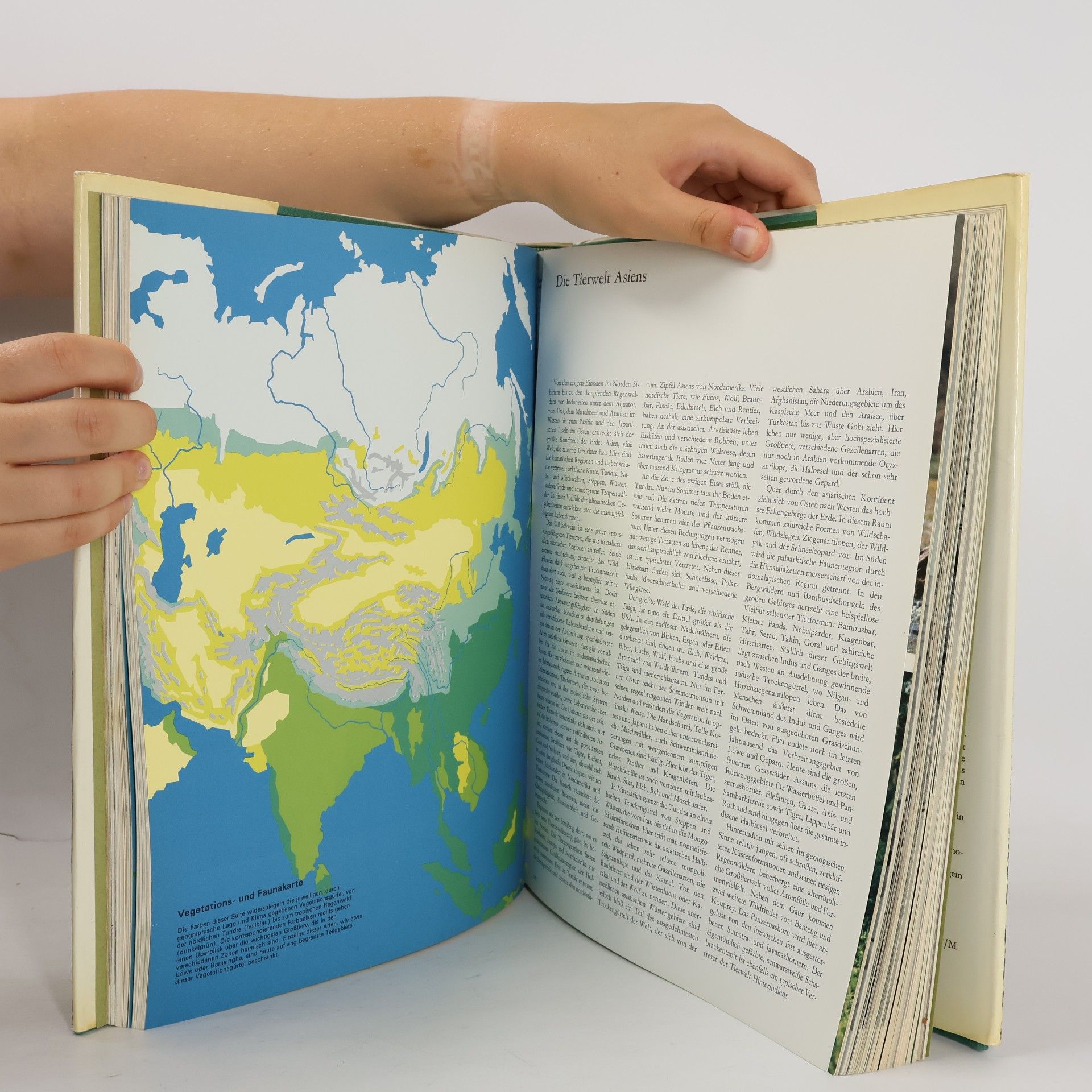 Ruth Bucher Das Buch der Jagd