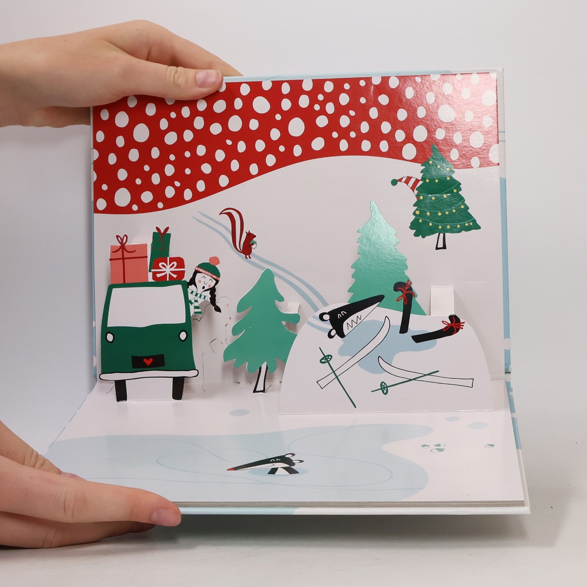 ohne Autor Pop-Up Book