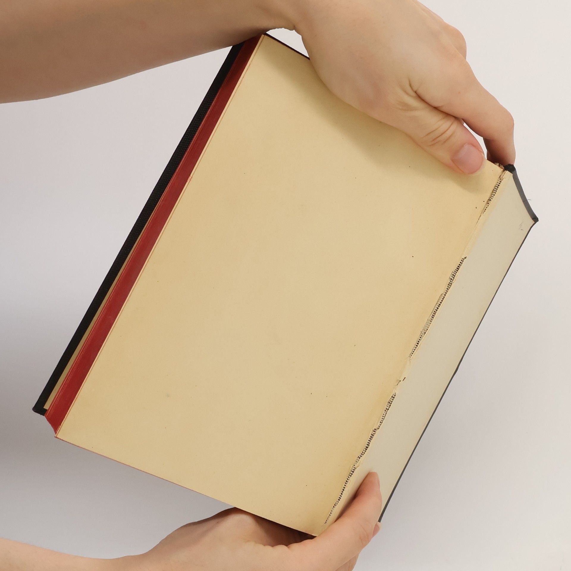 Martin Luther Die Heilige Schrift