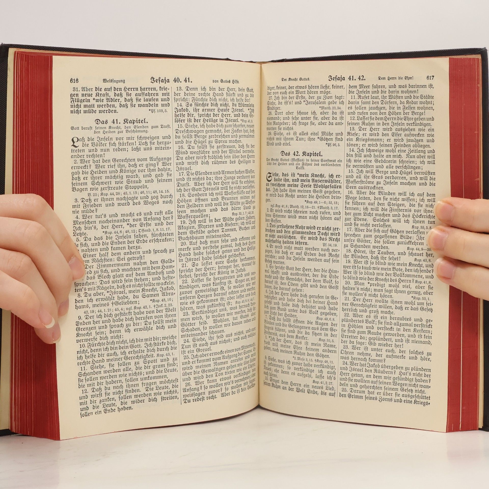 Martin Luther Die Heilige Schrift
