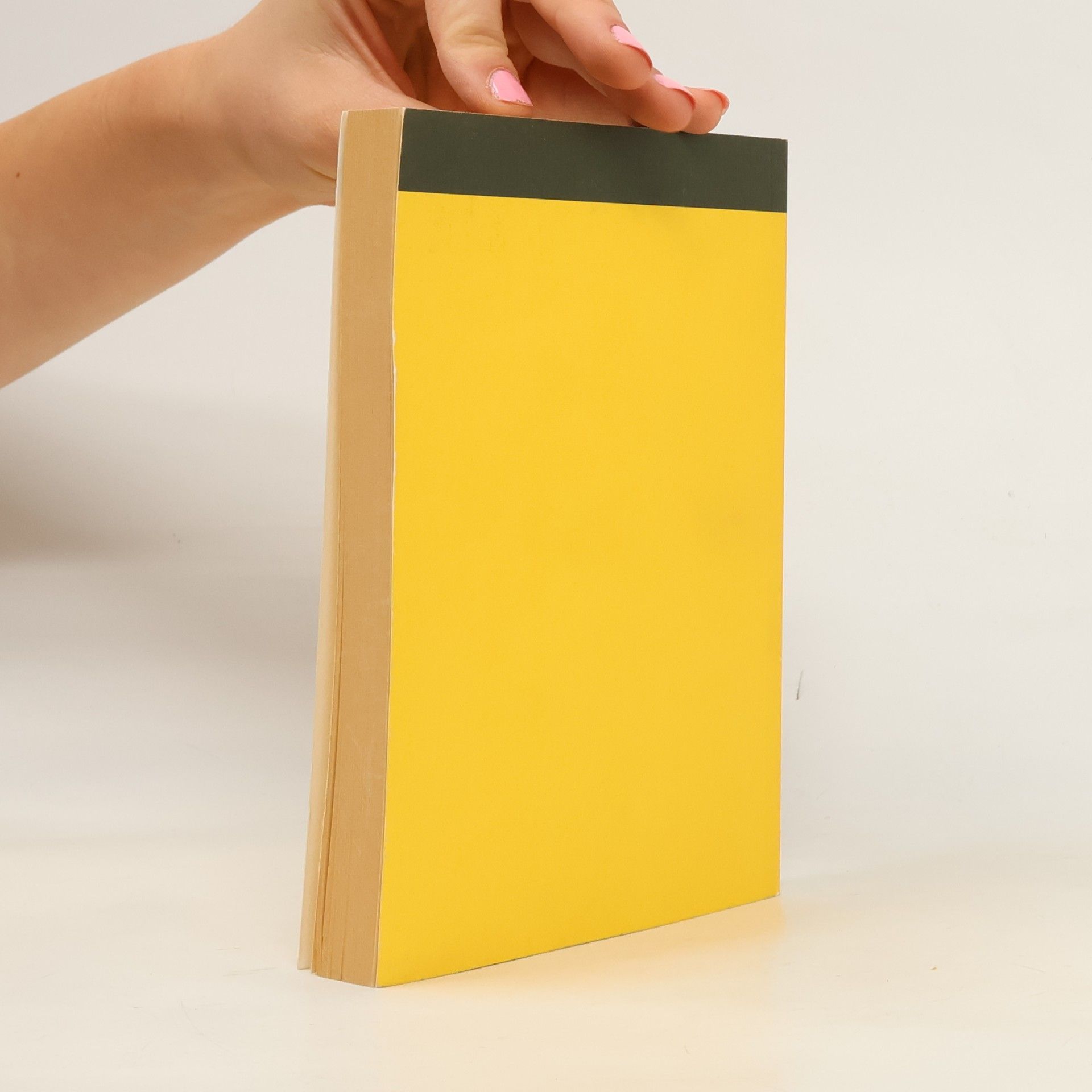 Heinrich Kraus Handbuch für den Arbeitnehmerschutz 2