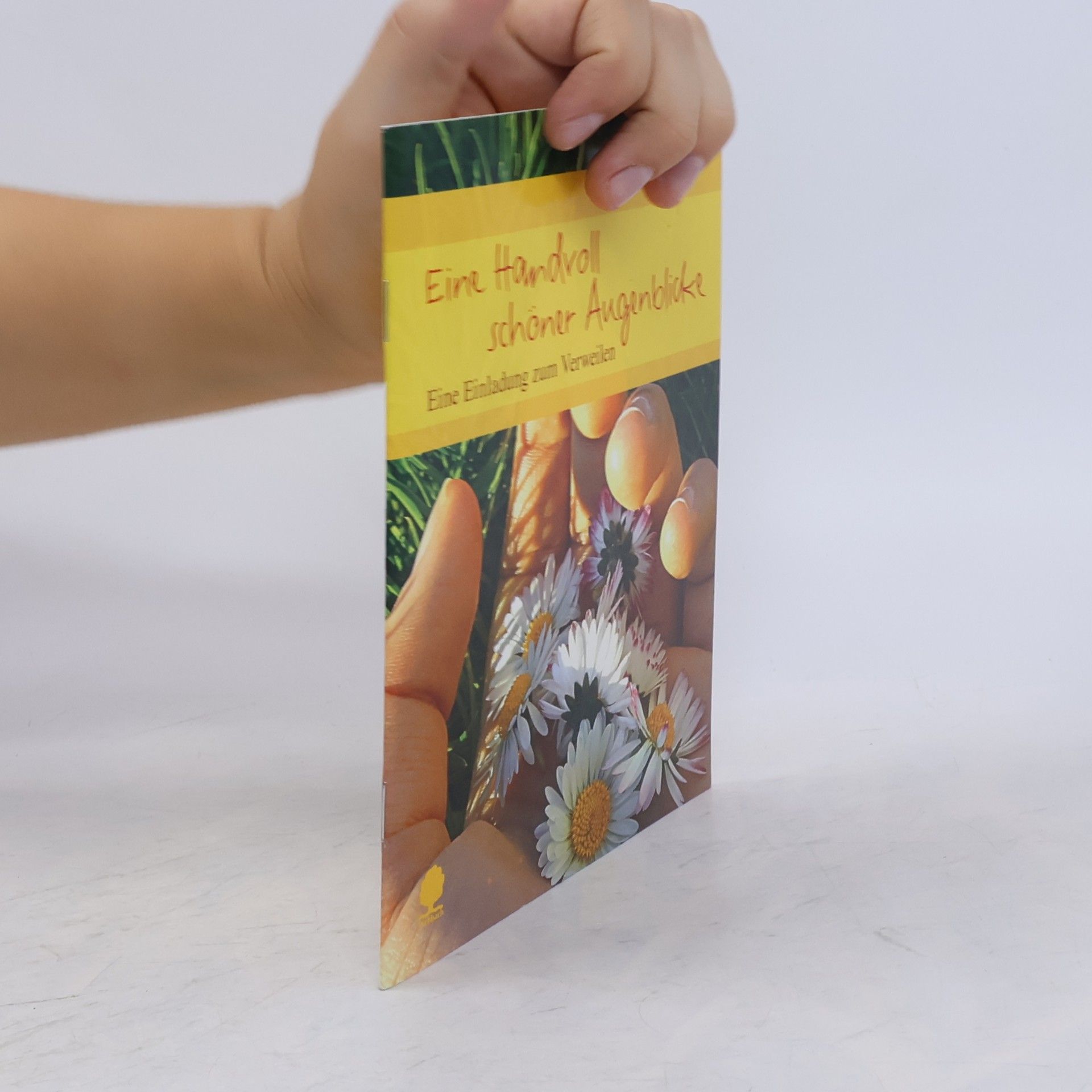 Autorenkollektiv Eine Handvoll schöner Augenblicke