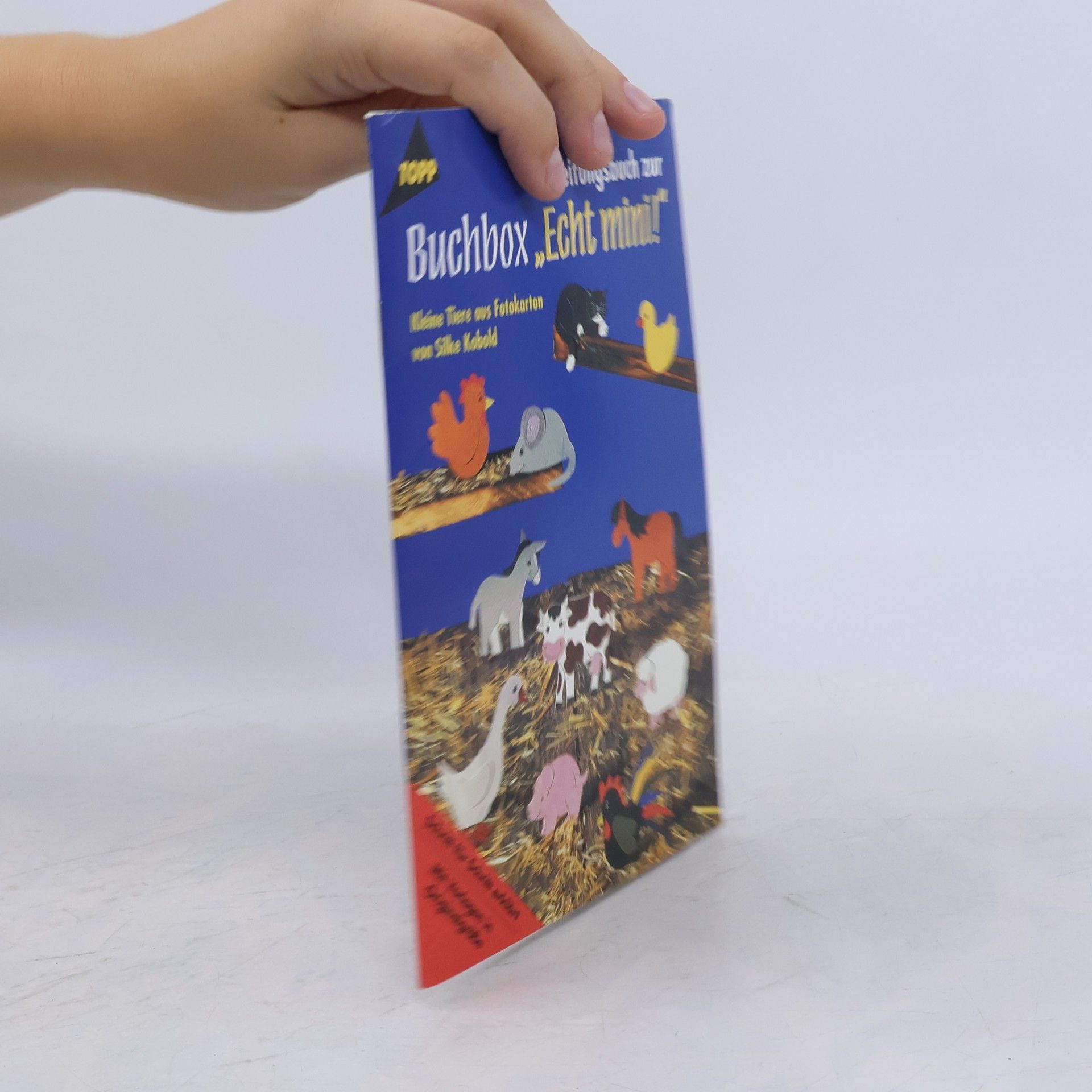 Collectif d'auteurs Buchbox "Echt mini!"