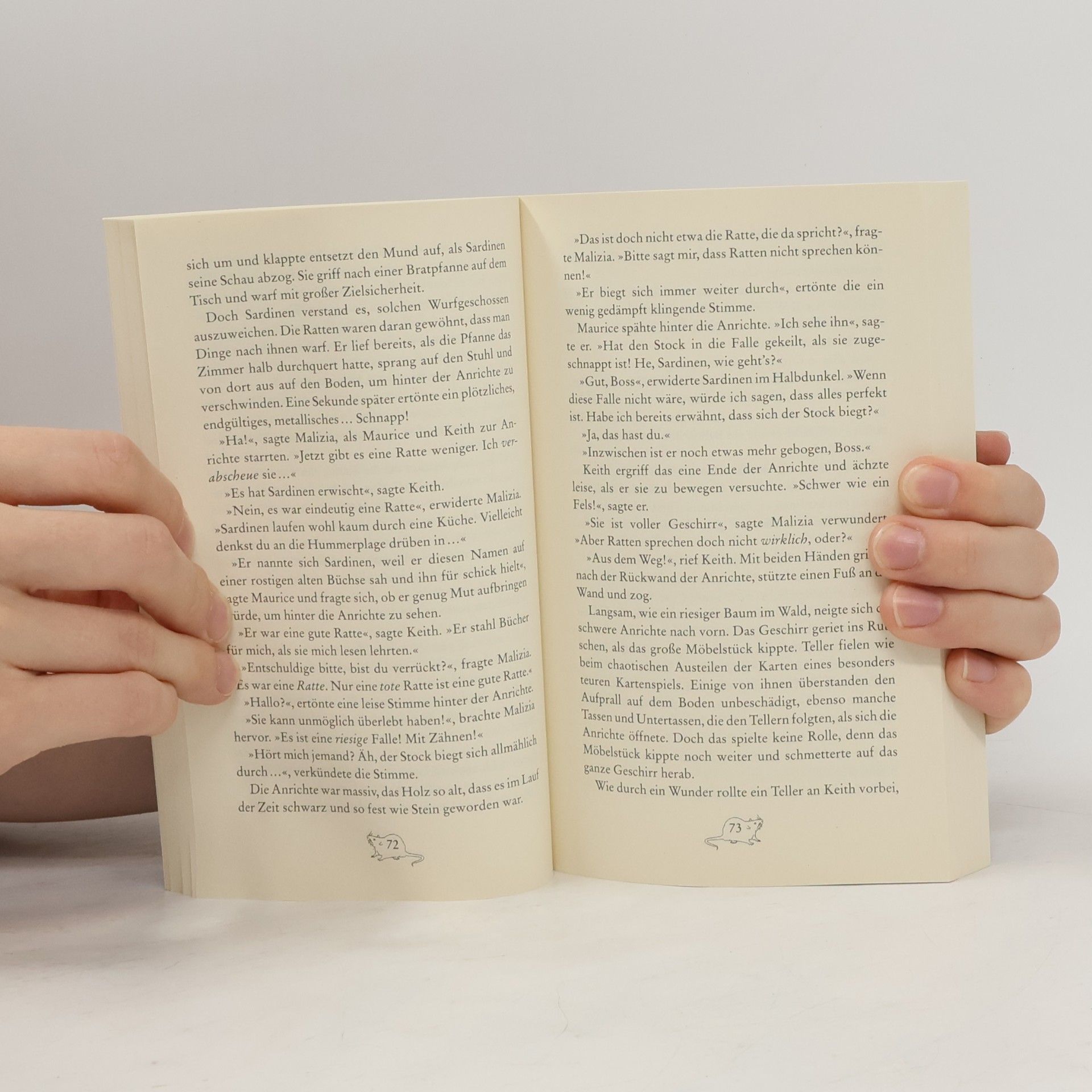 Terry Pratchett Maurice, der Kater