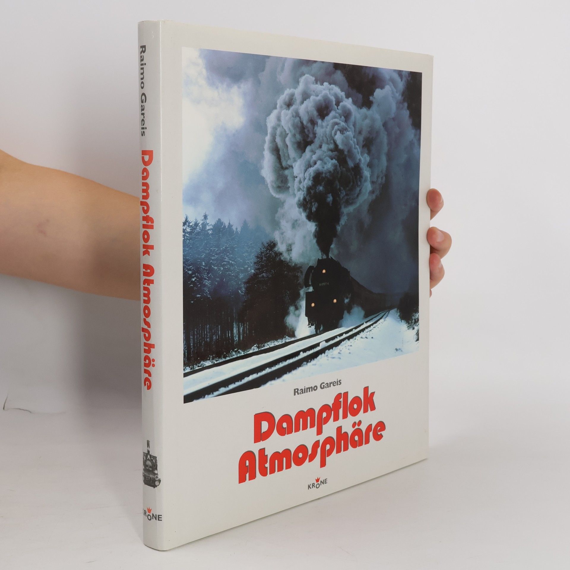 Raimo Gareis Dampflok Atmosphäre