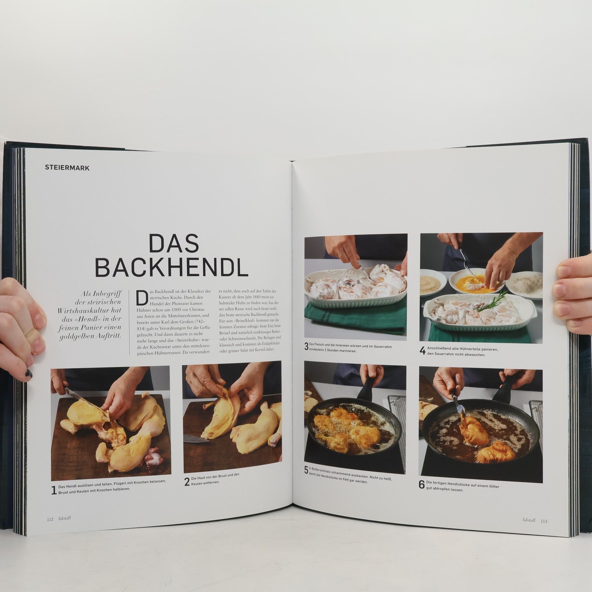 Collectif d'auteurs Falstaff Österreichs beste Rezepte