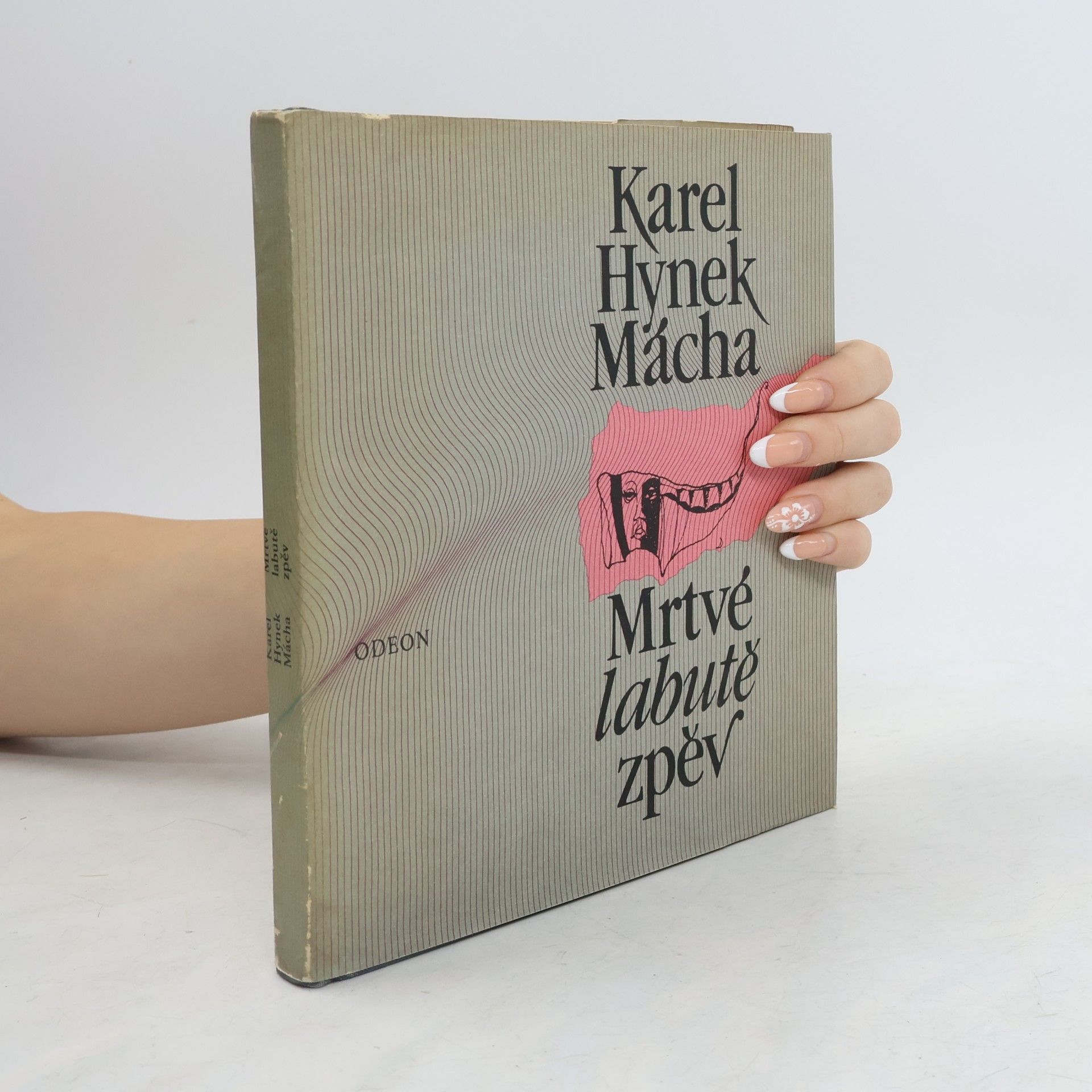 Karel Hynek Mácha Mrtvé labutě zpěv