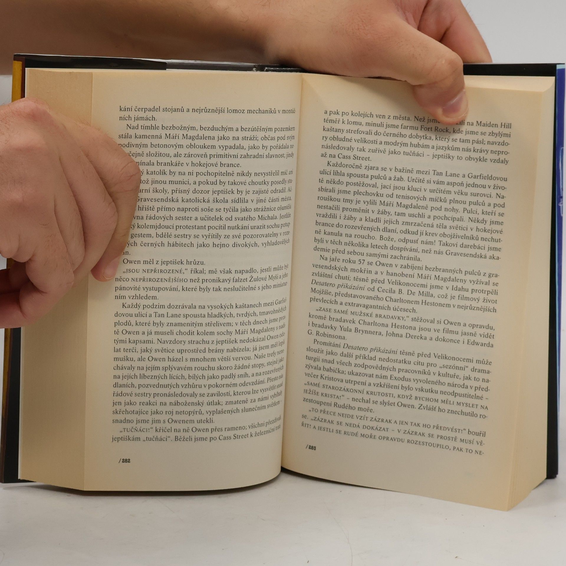 John Irving Modlitba za Owena Meanyho