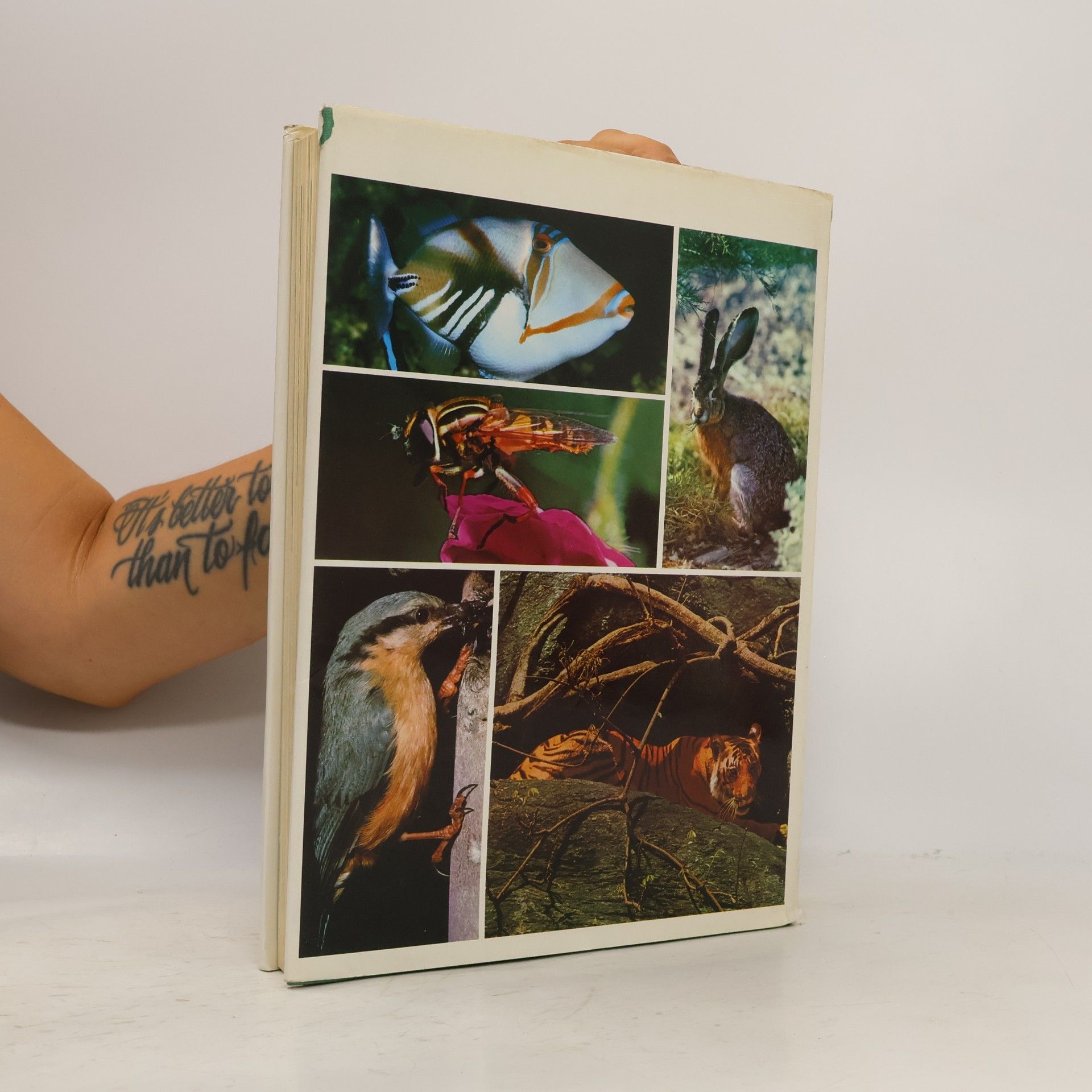 AA.VV. Encyclopaedia of animals in colour