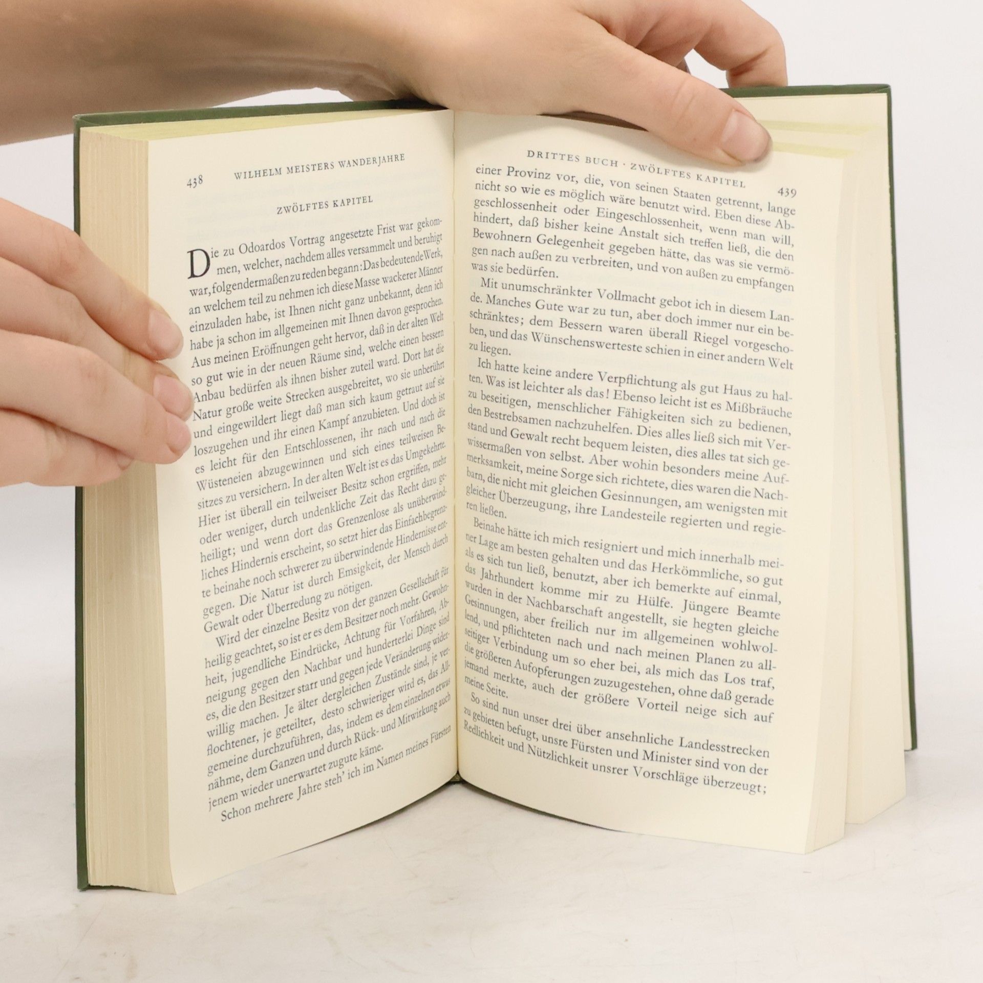 Johann Wolfgang von Goethe Gedenkausgabe der Werke, Briefe und Gespräche 8