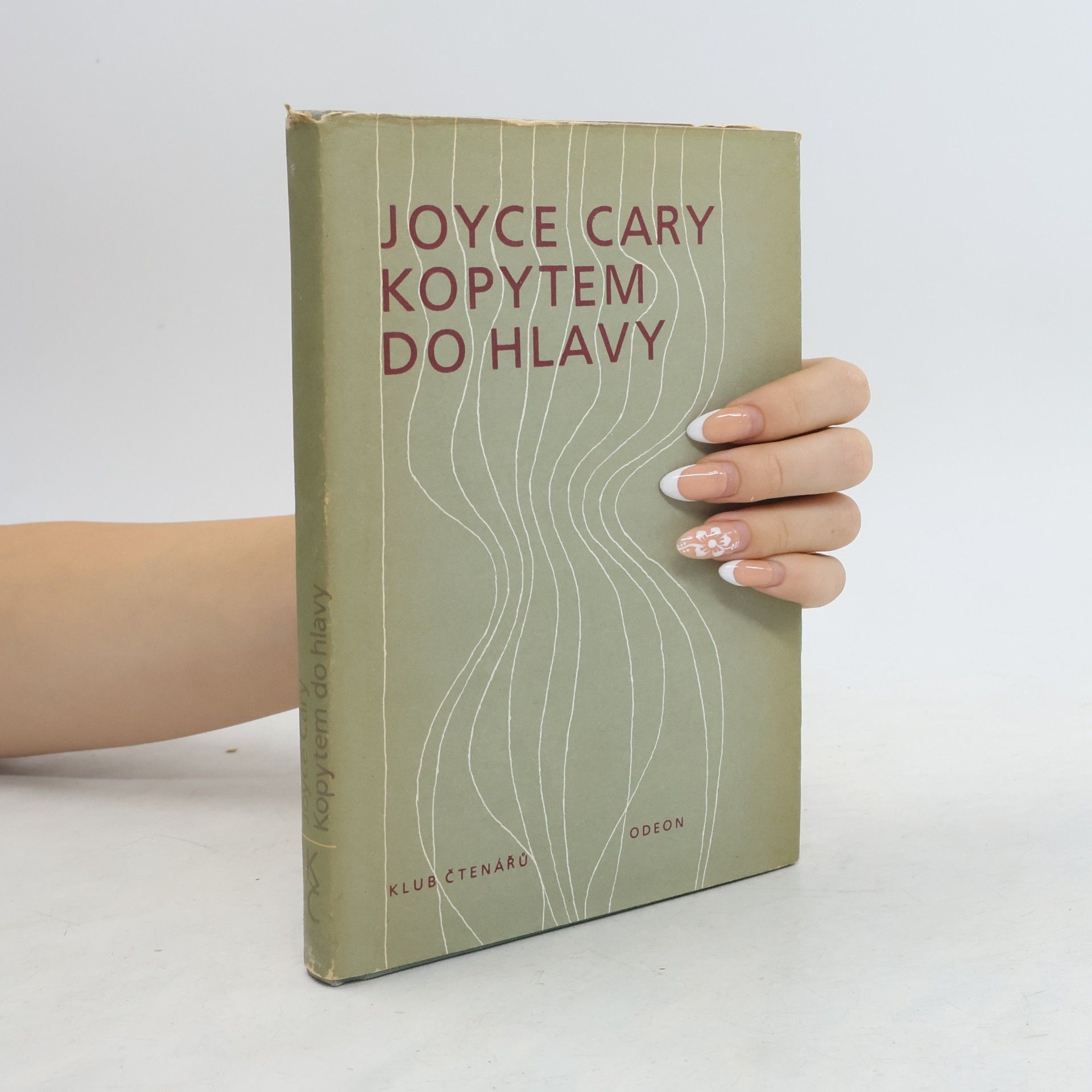 Joyce Cary Kopytem do hlavy