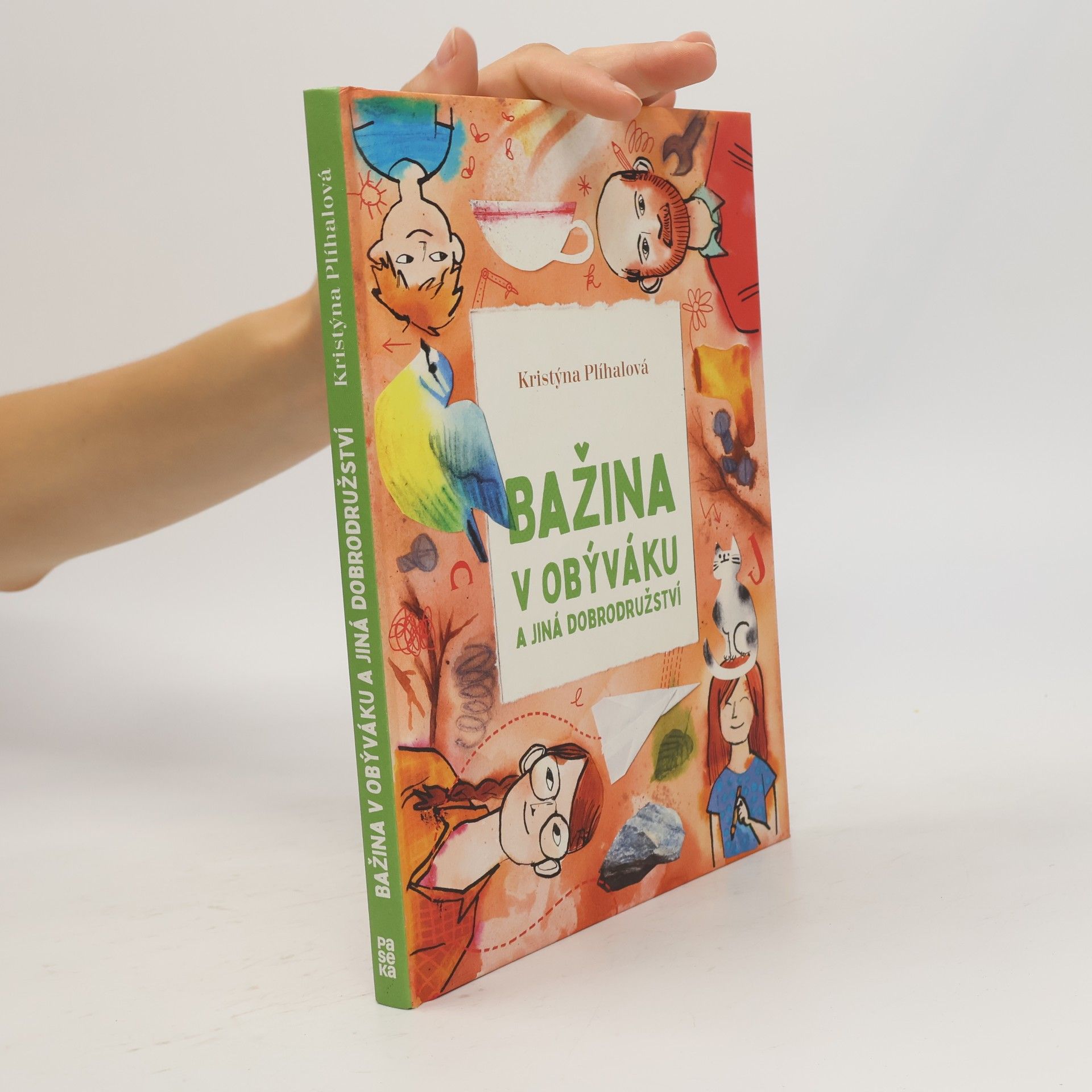 Bažina v obýváku a jiná dobrodružství