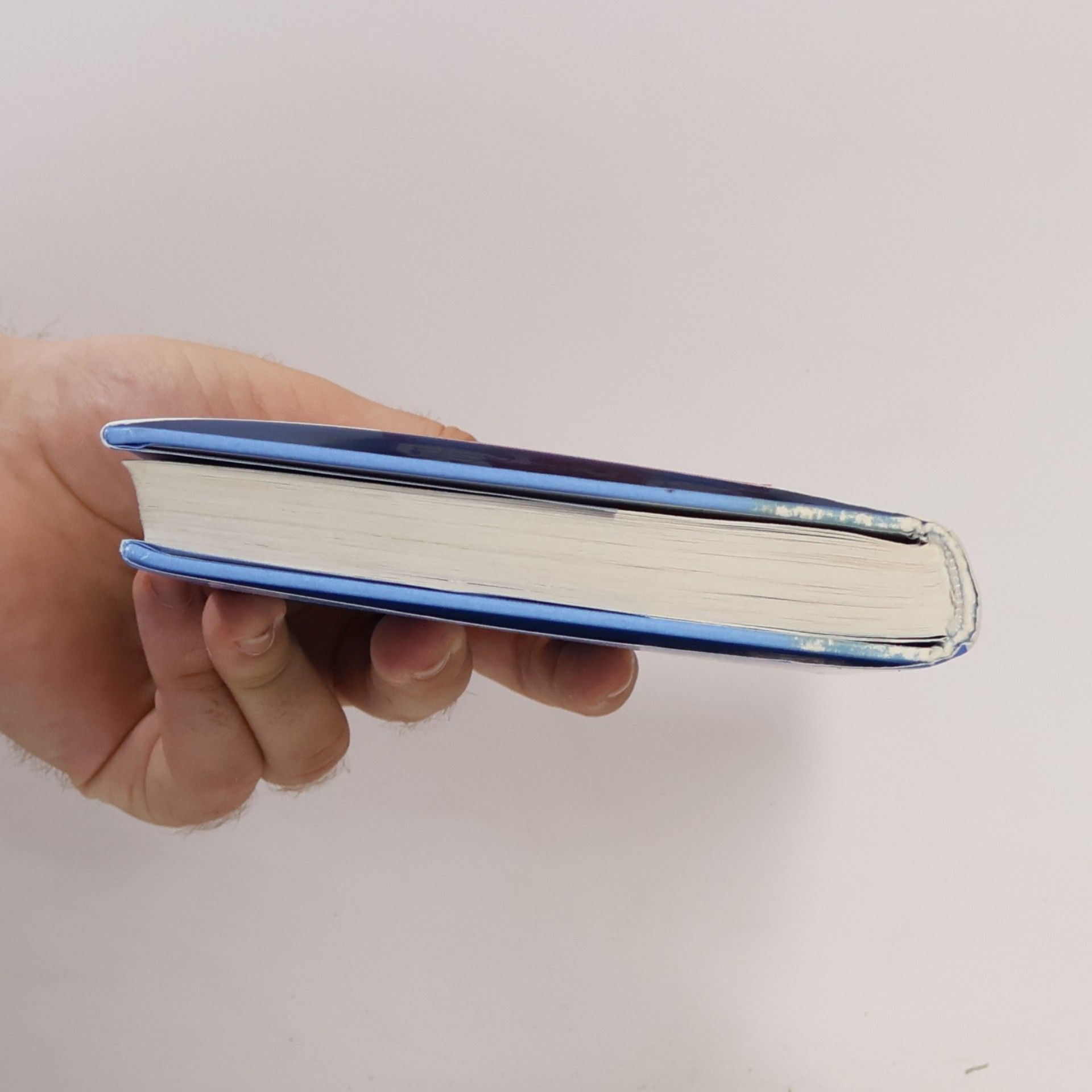 Chuck Palahniuk Program pro přeživší