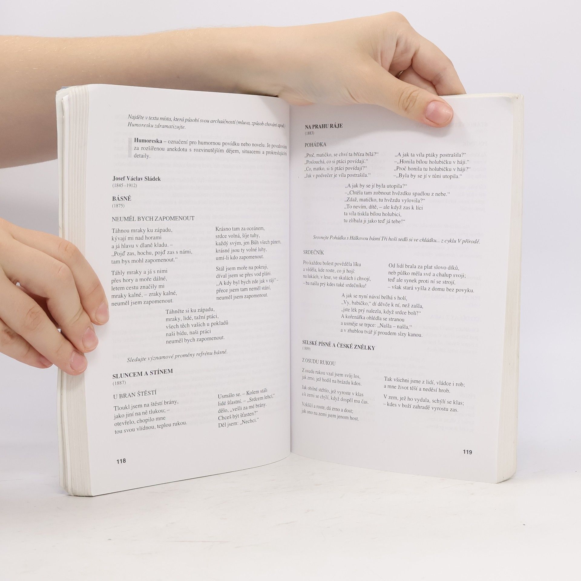 Jaroslava Hrabáková Literatura II : výbor textů, interpretace, literární teorie