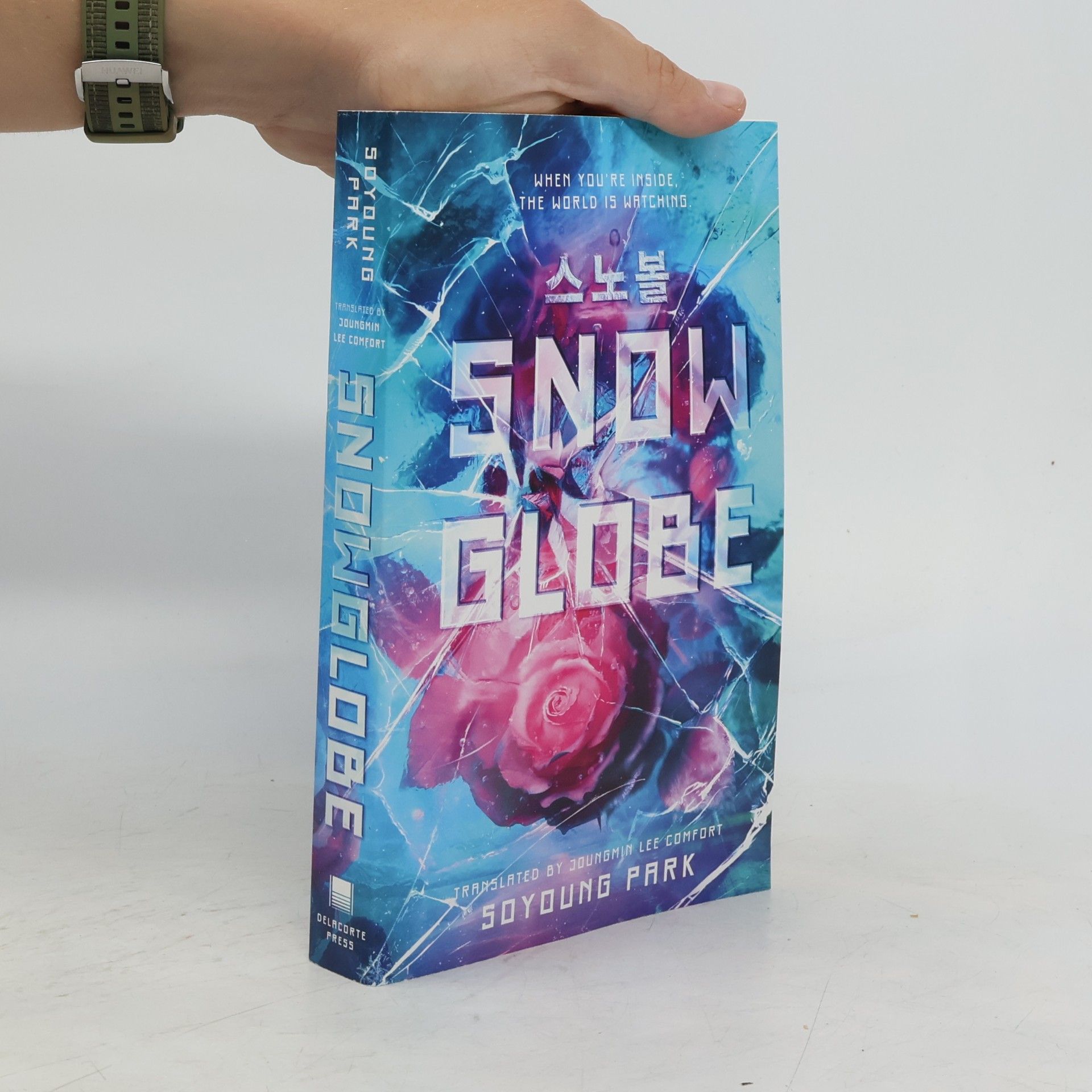 Park Soyoung Snowglobe