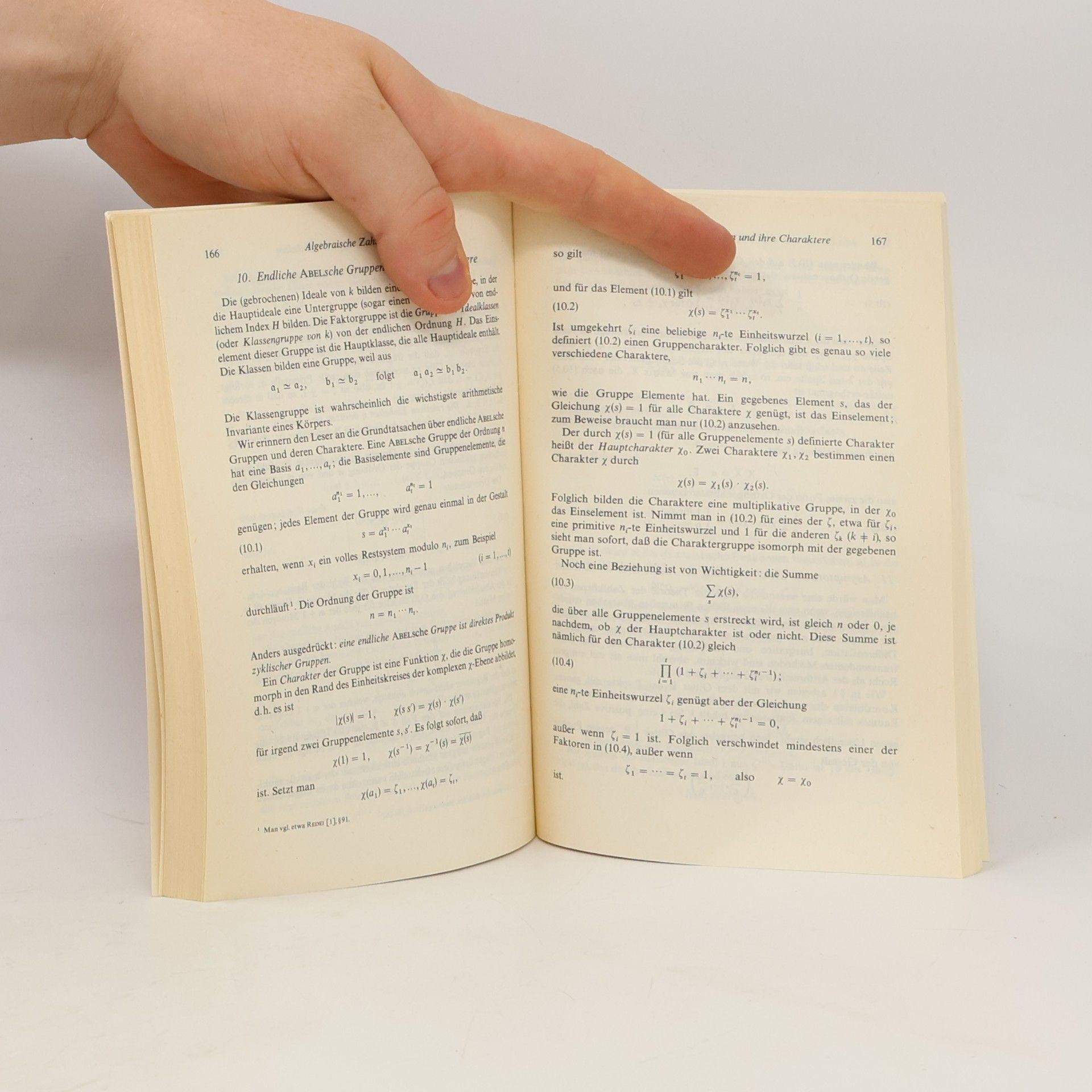 Hermann Weyl Algebraische Zahlentheorie