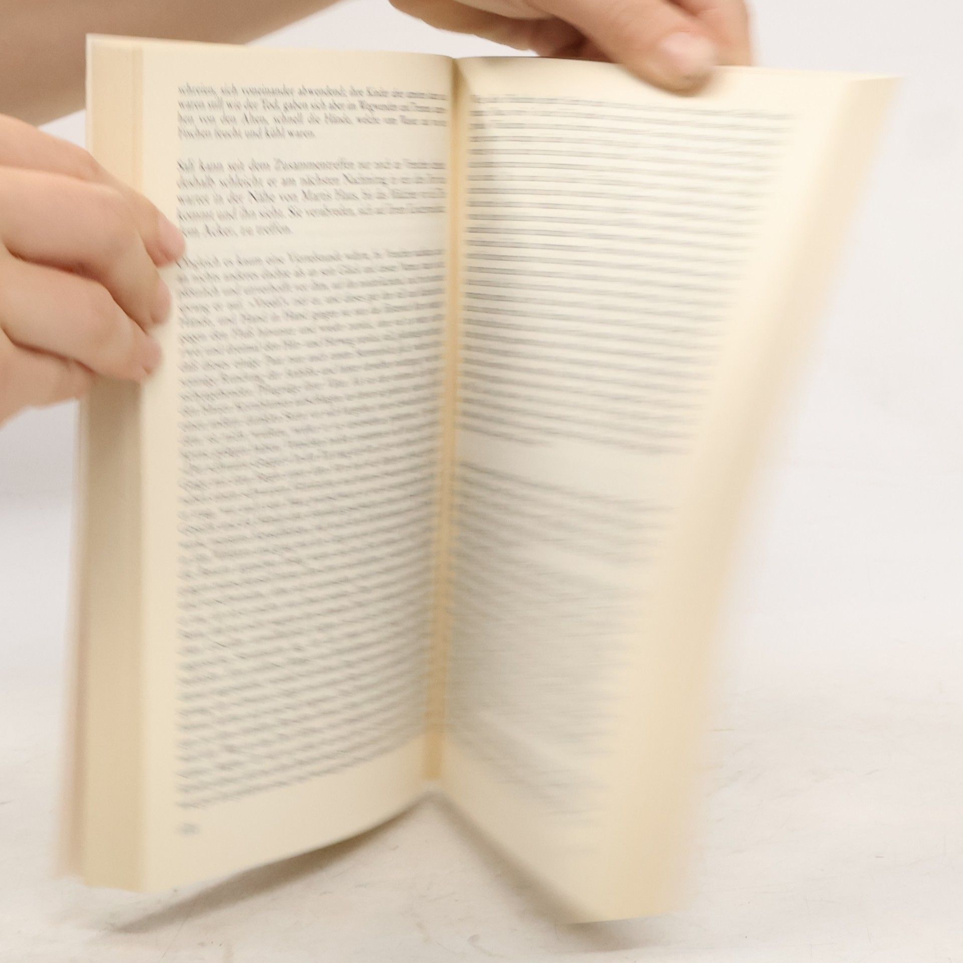 Annemarie van Rinsum Deutsche Literaturgeschichte
