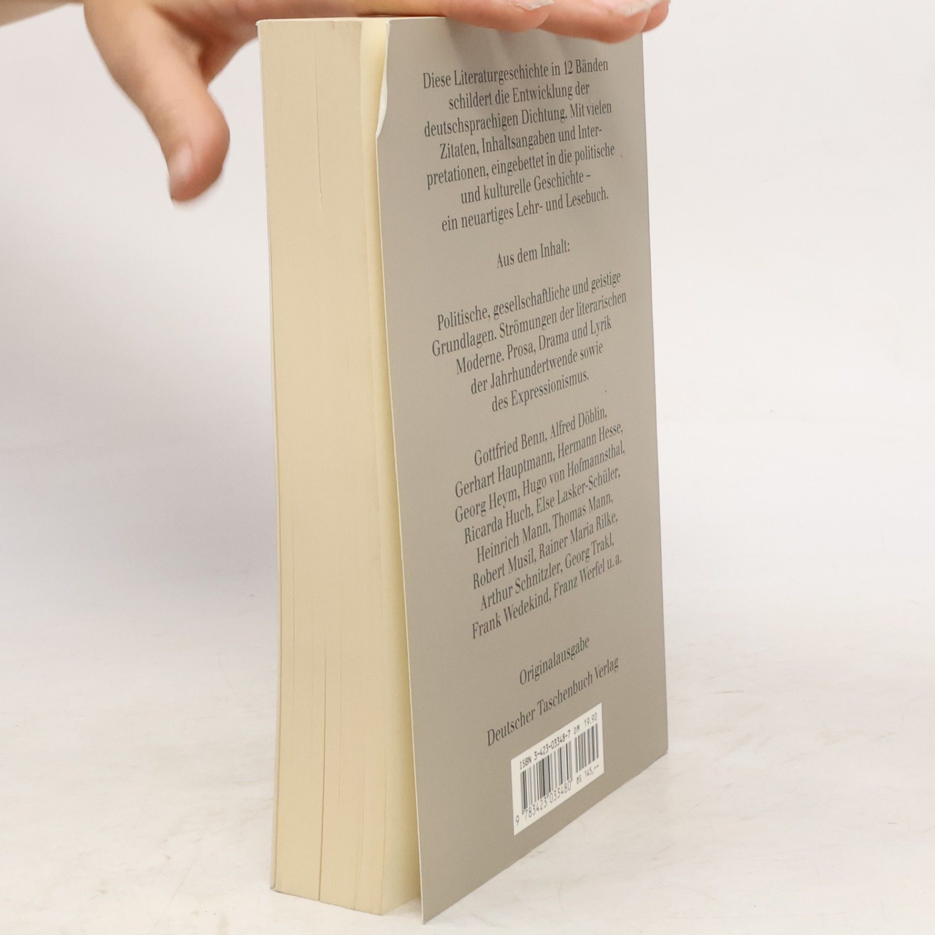 Ingo Leiß Deutsche Literaturgeschichte. Band 8