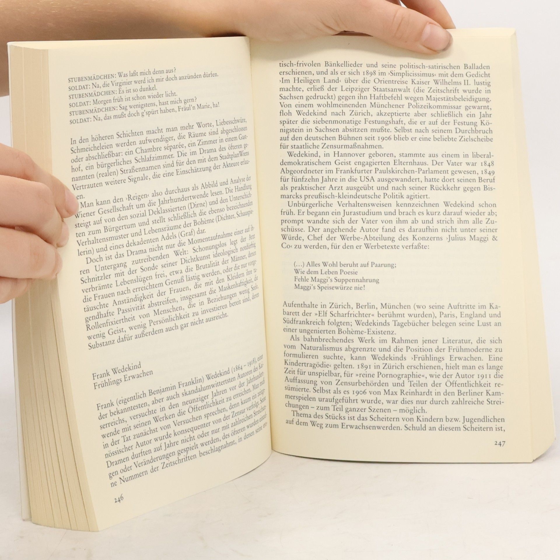 Ingo Leiß Deutsche Literaturgeschichte. Band 8