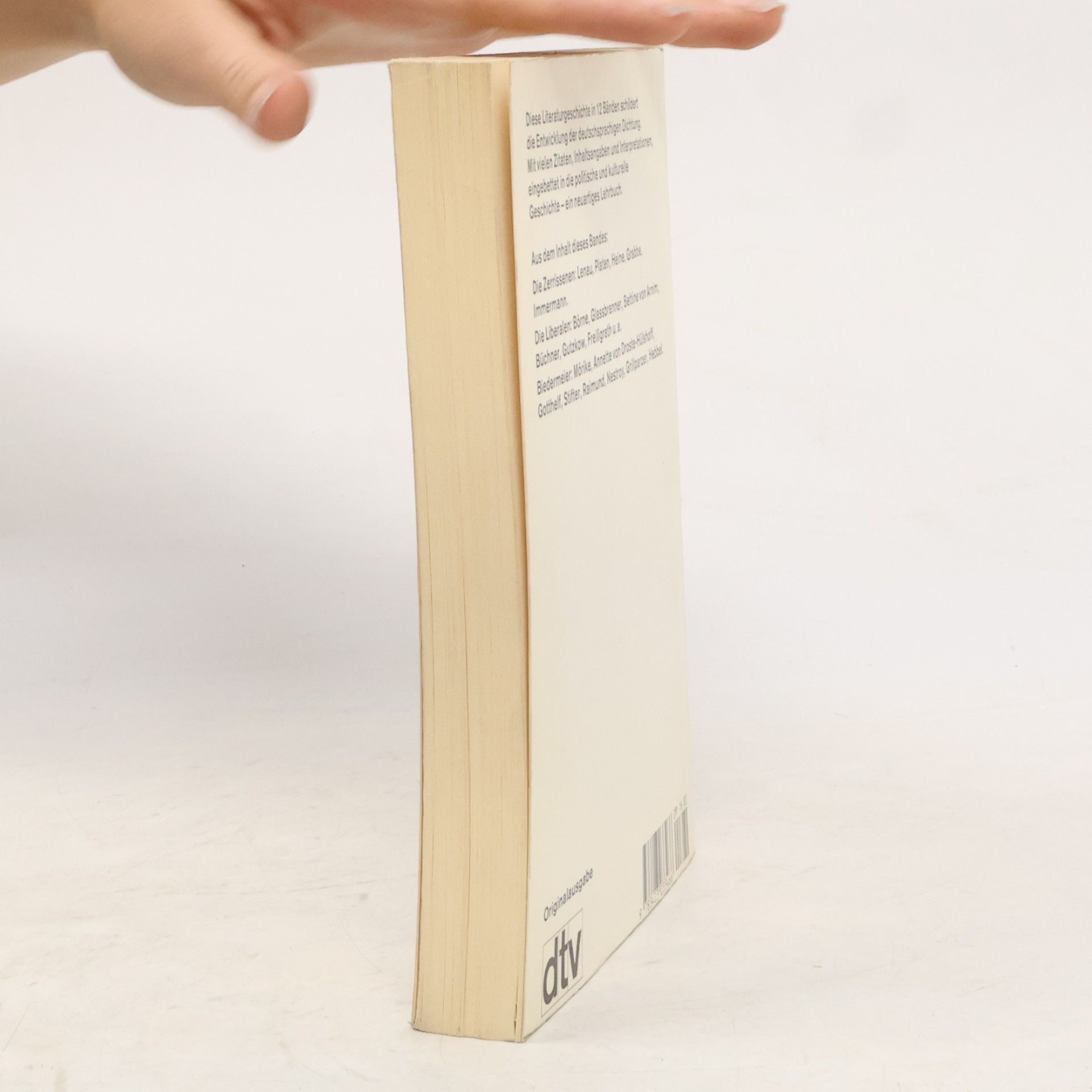 Annemarie van Rinsum Deutsche Literaturgeschichte 6. Frührealismus