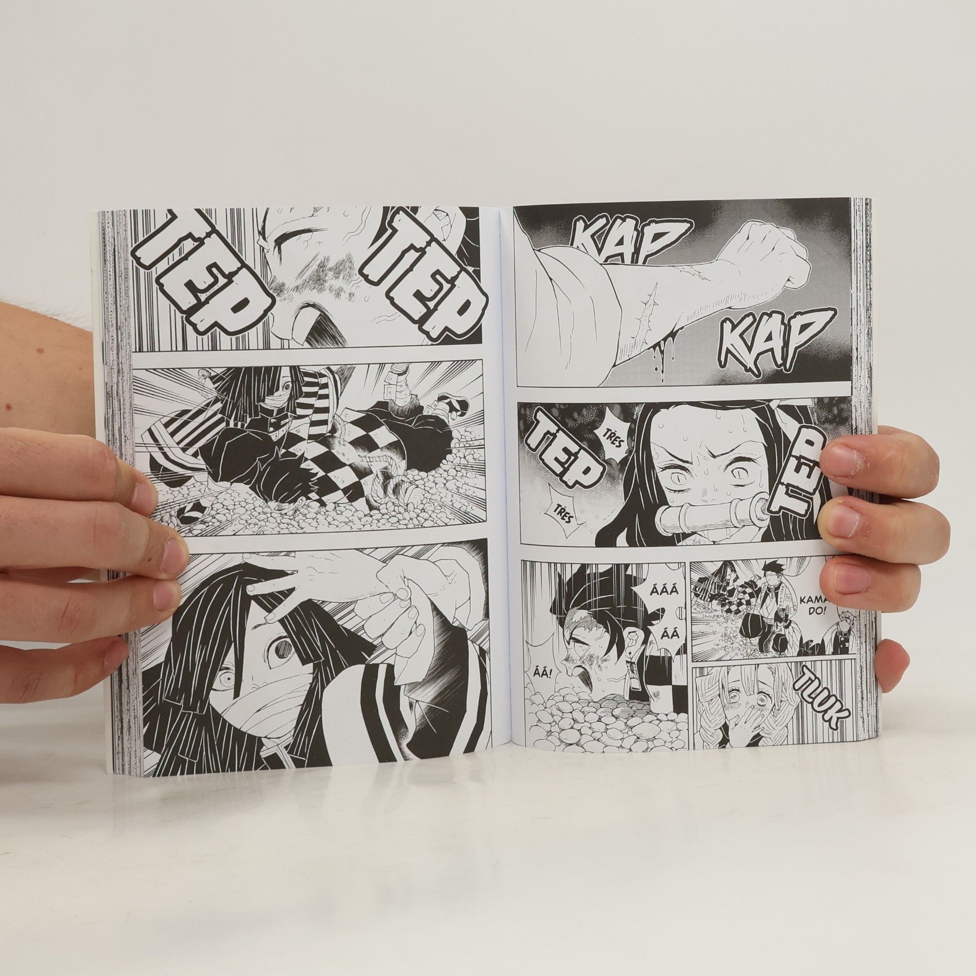 Koyoharu Gotoge Zabiják démonů. 6, Soud Pilířů