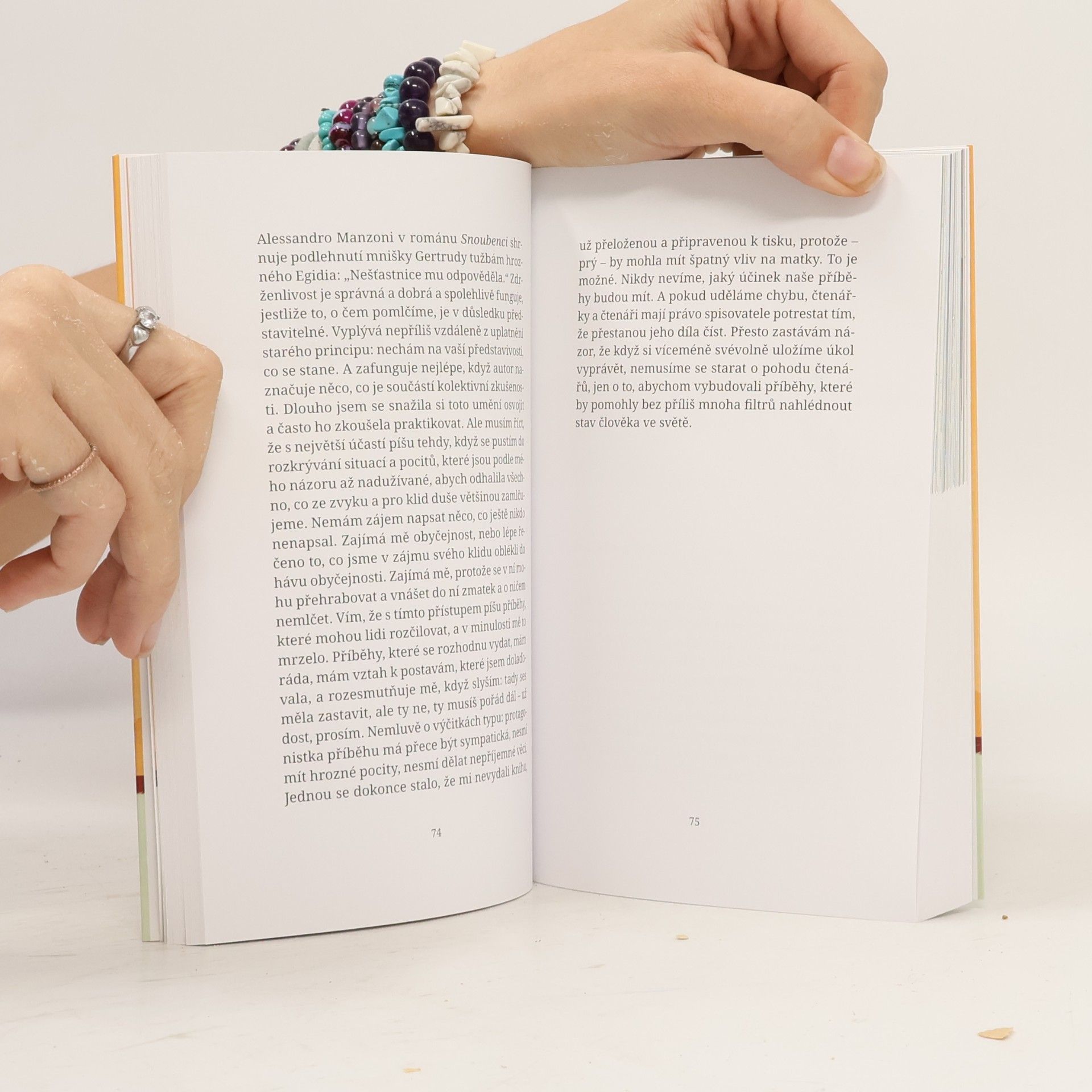 Elena Ferrante Příležitostné nápady