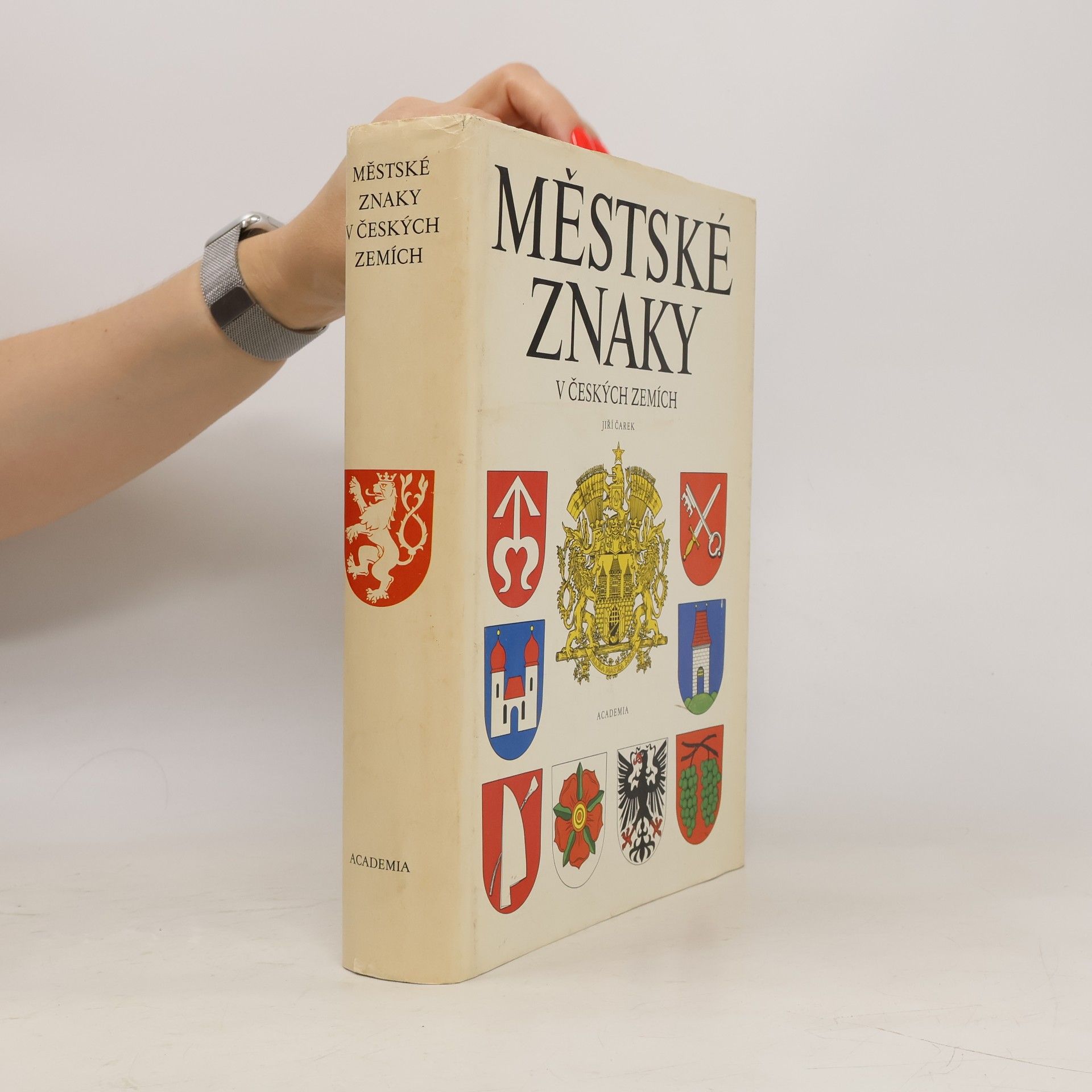 Jiří Čarek Městské znaky v českých zemích