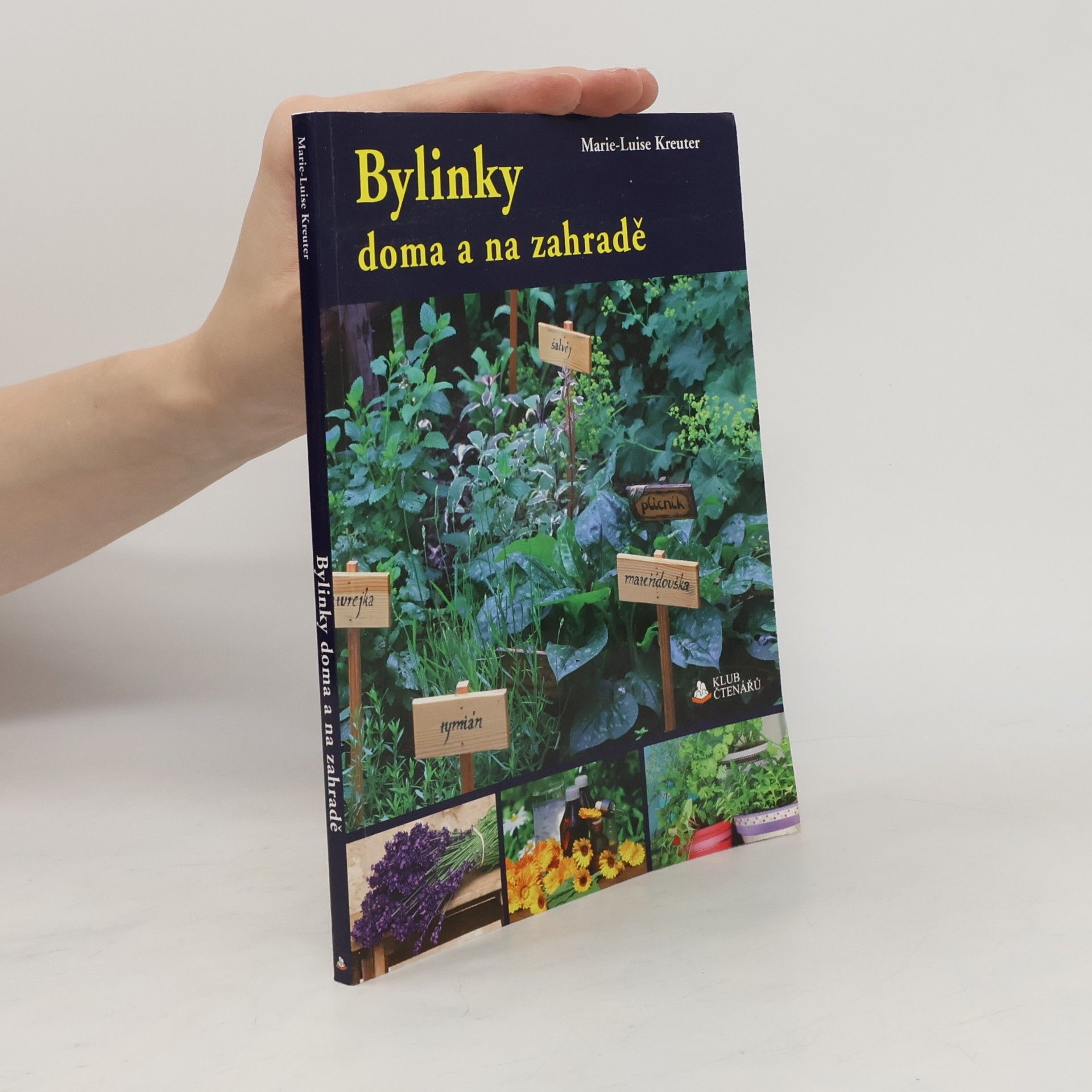Bylinky doma a na zahradě