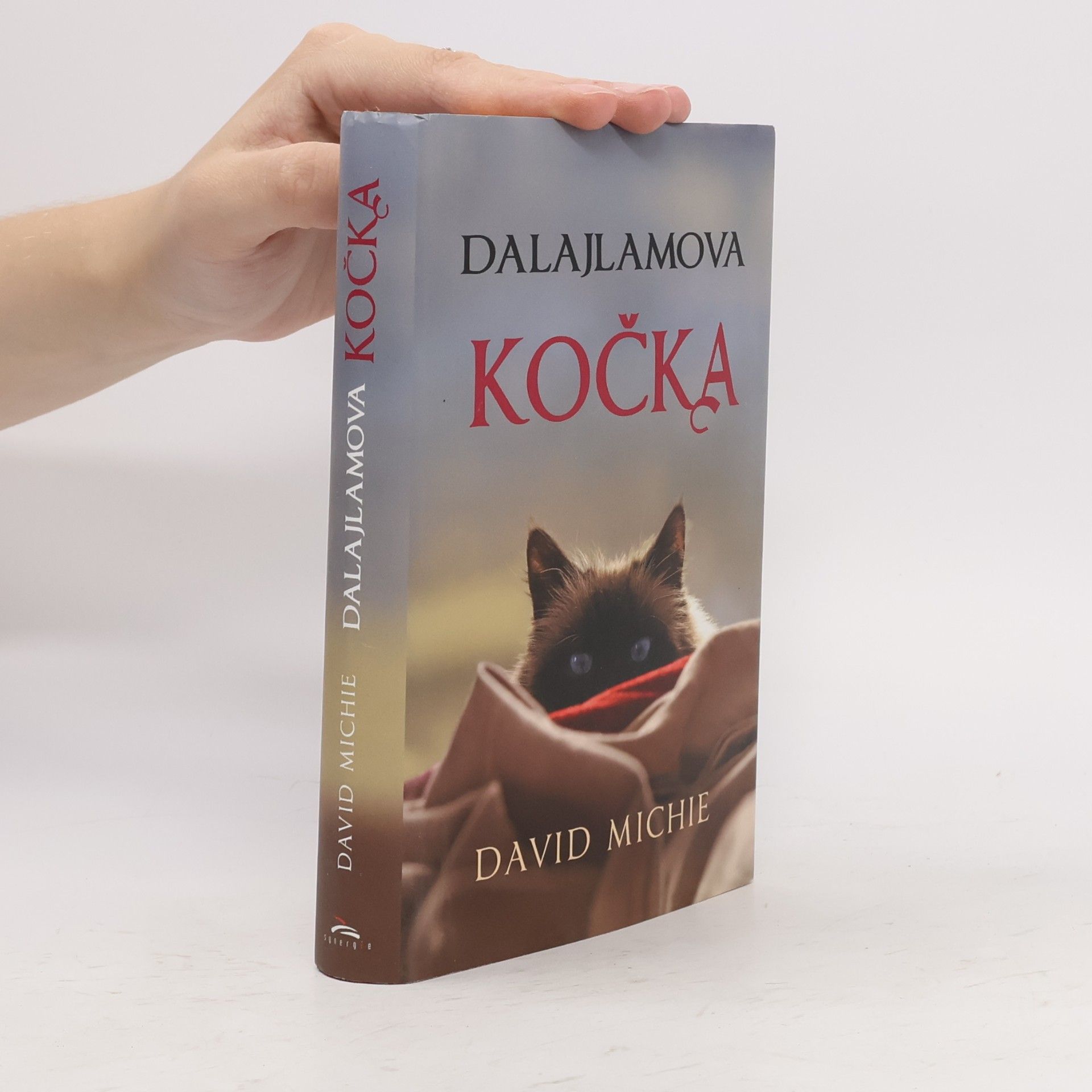 David Michie Dalajlamova kočka