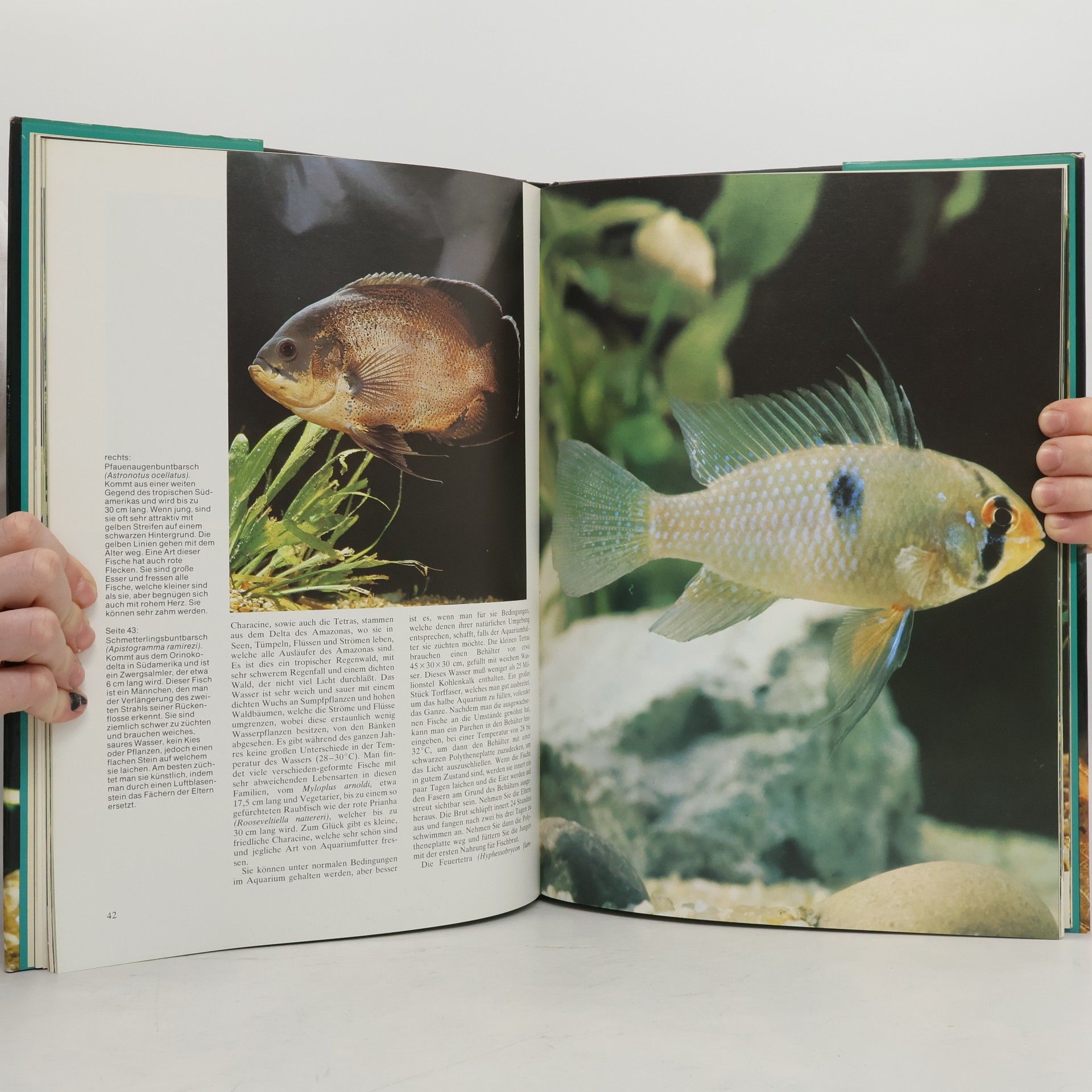 George Cust Tropische Aquarienfische