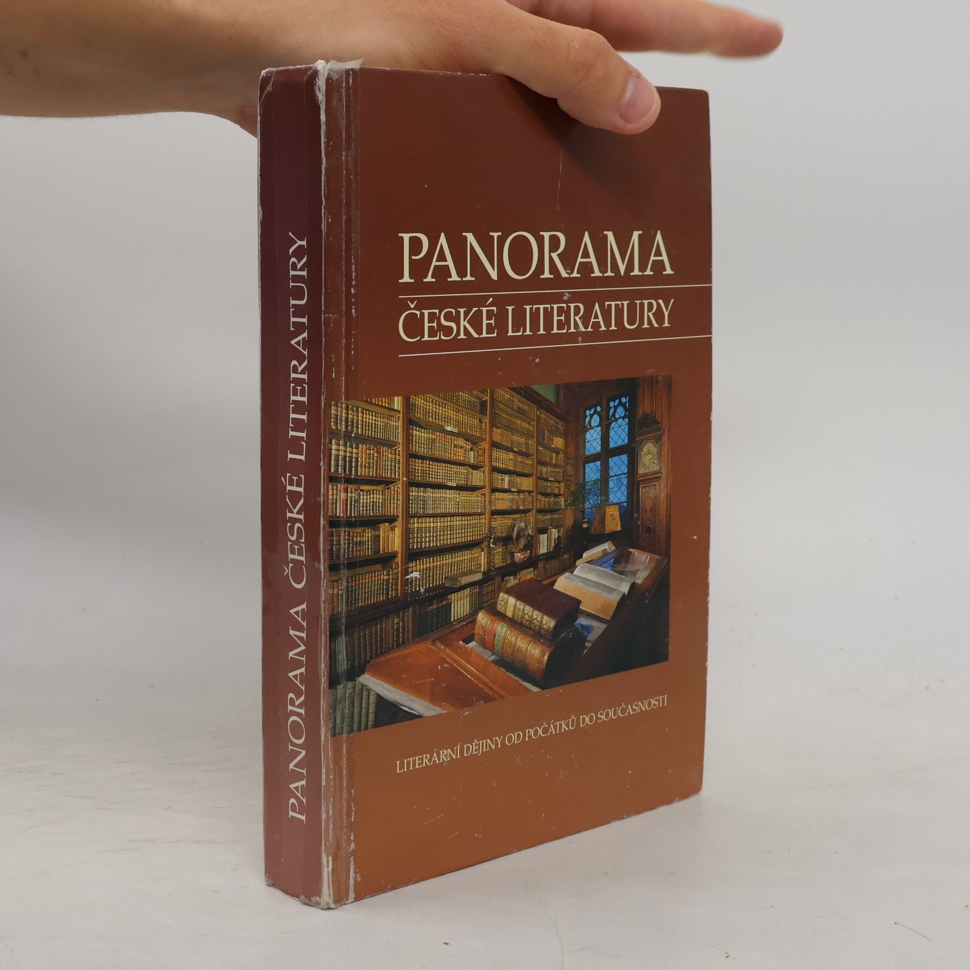 Autorenkollektiv Panorama české literatury. Literární dějiny od počátků do současnosti