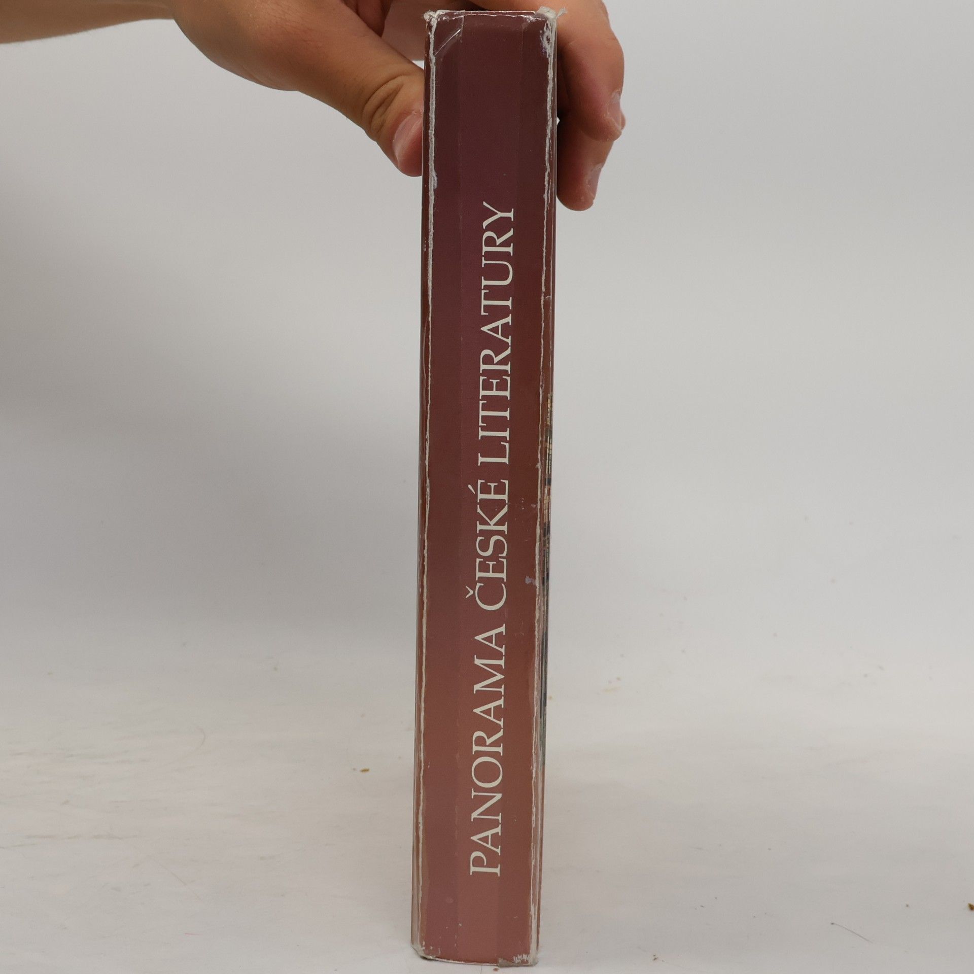 Autorenkollektiv Panorama české literatury. Literární dějiny od počátků do současnosti