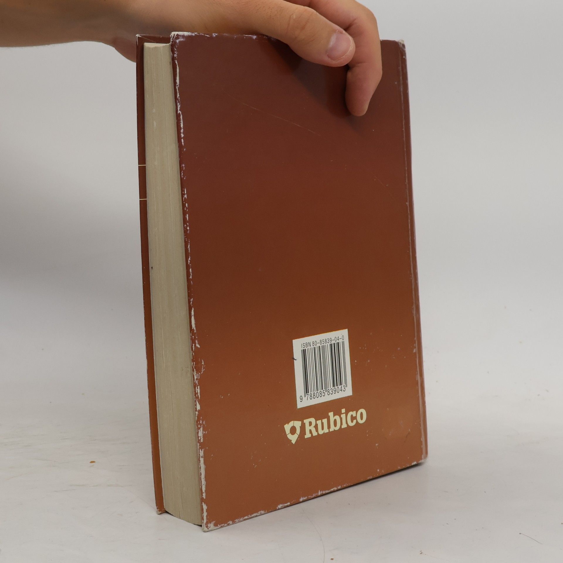 Autorenkollektiv Panorama české literatury. Literární dějiny od počátků do současnosti