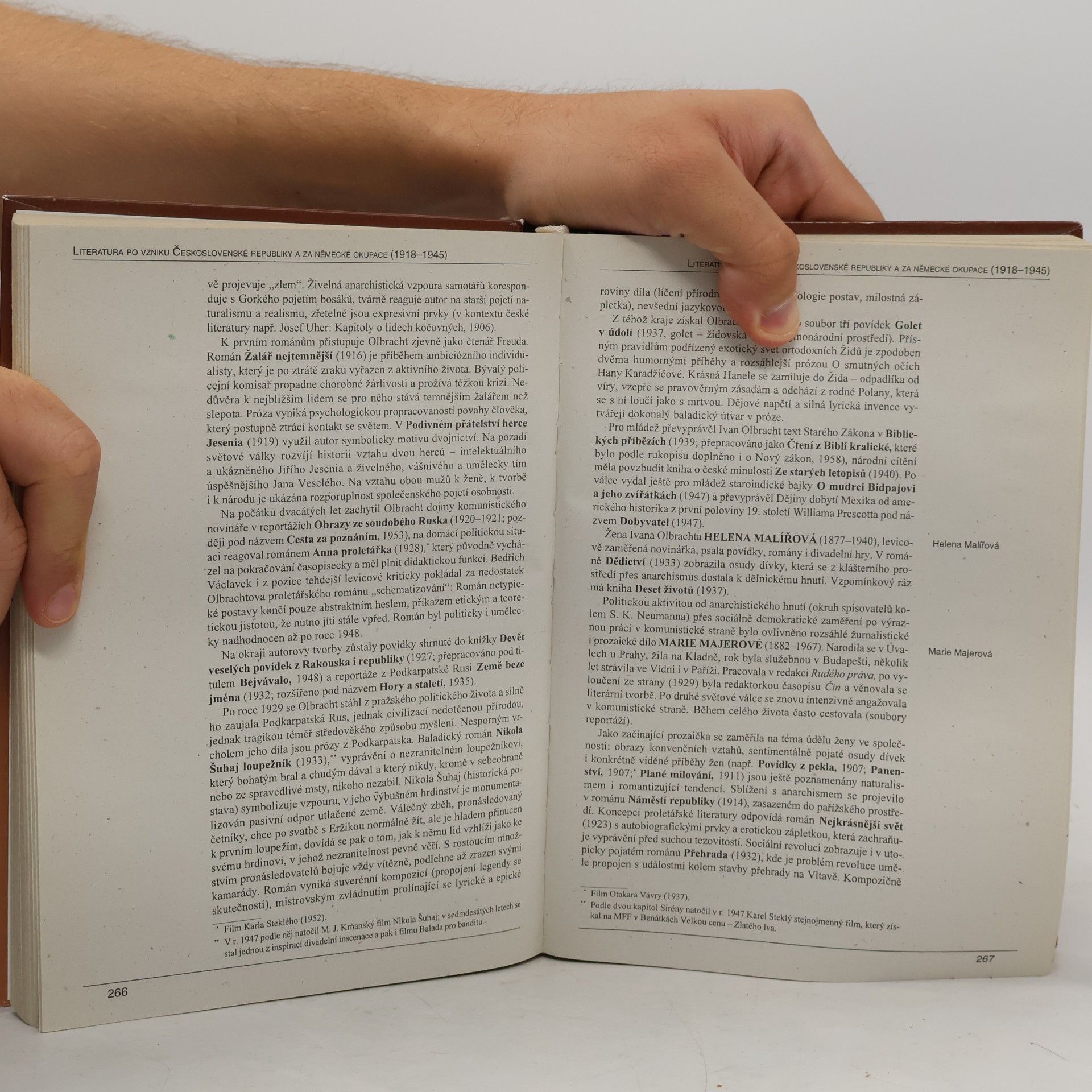 Autorenkollektiv Panorama české literatury. Literární dějiny od počátků do současnosti