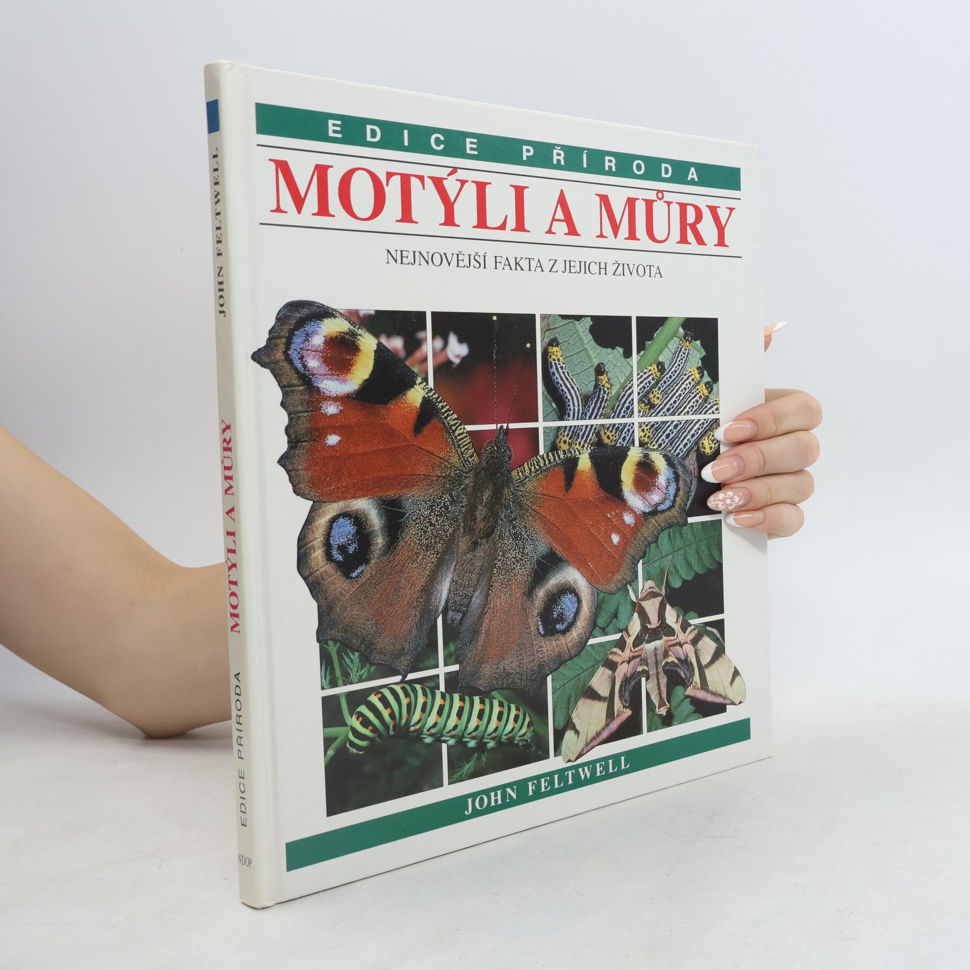 John Feltwell Motýli a můry