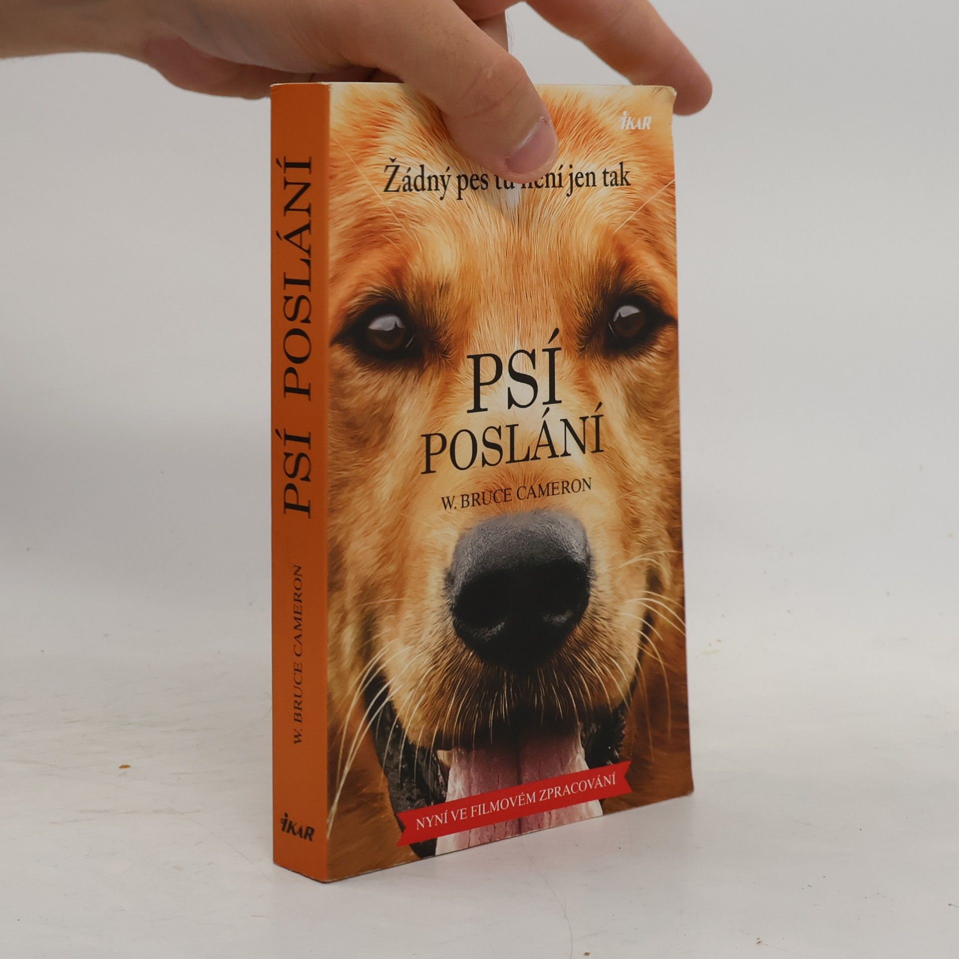 W. Bruce Cameron Psí poslání. Žádný pes tu není jen tak