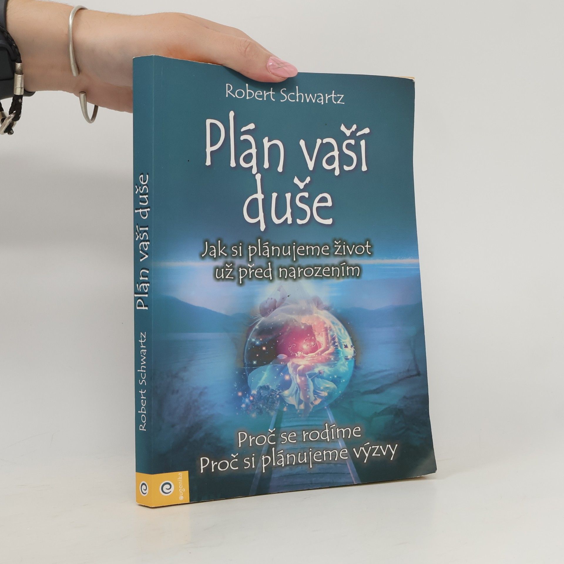 Zuzana Šestáková Plán vaší duše. Jak si plánujeme život už před narozením