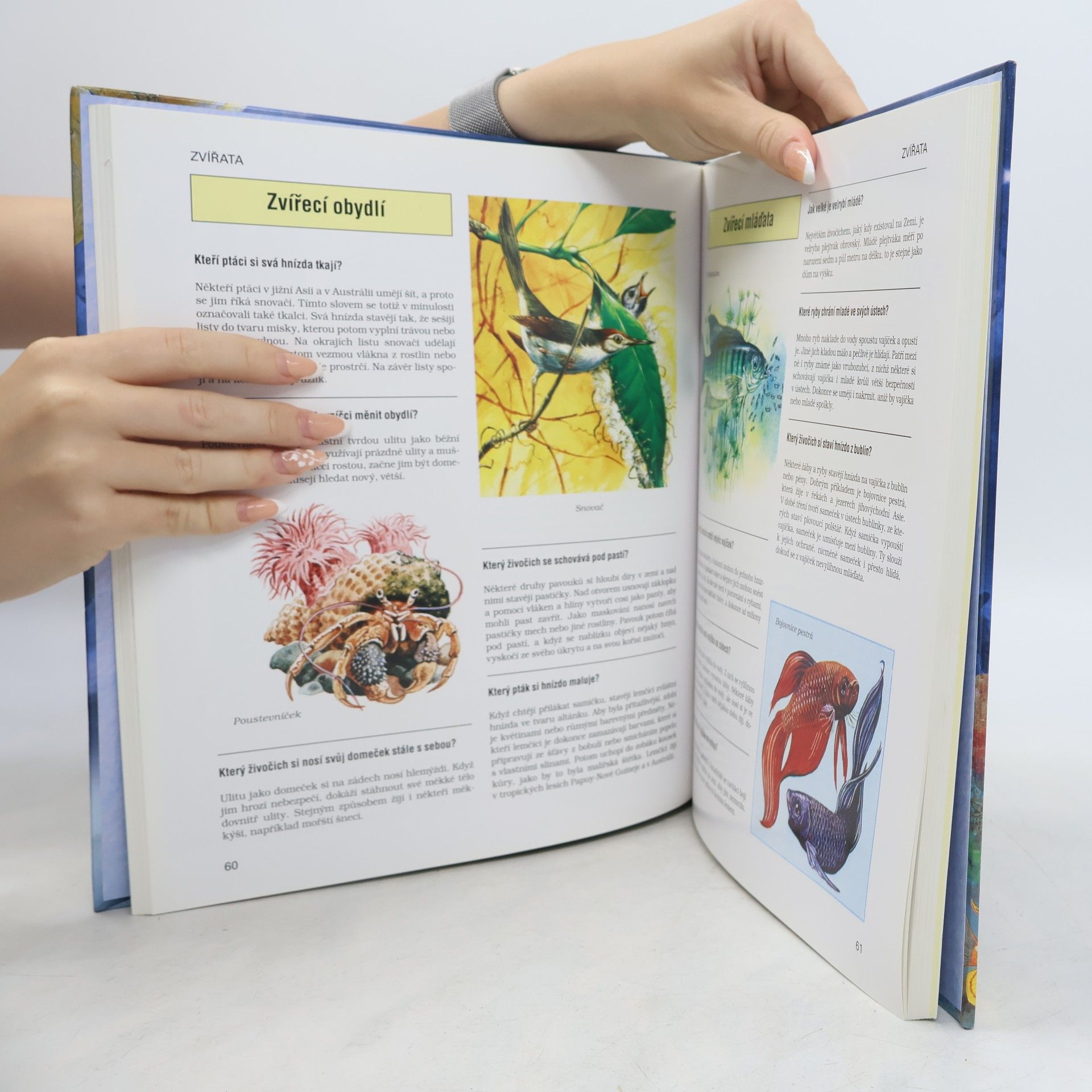 Various authors Všeobecná encyklopedie pro školáky : 1000 otázek a odpovědí