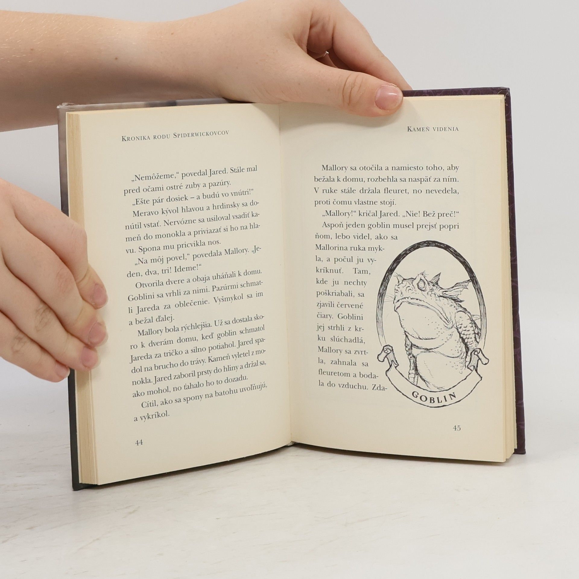 Tony DiTerlizzi Kronika rodu Spiderwickovcov 2.