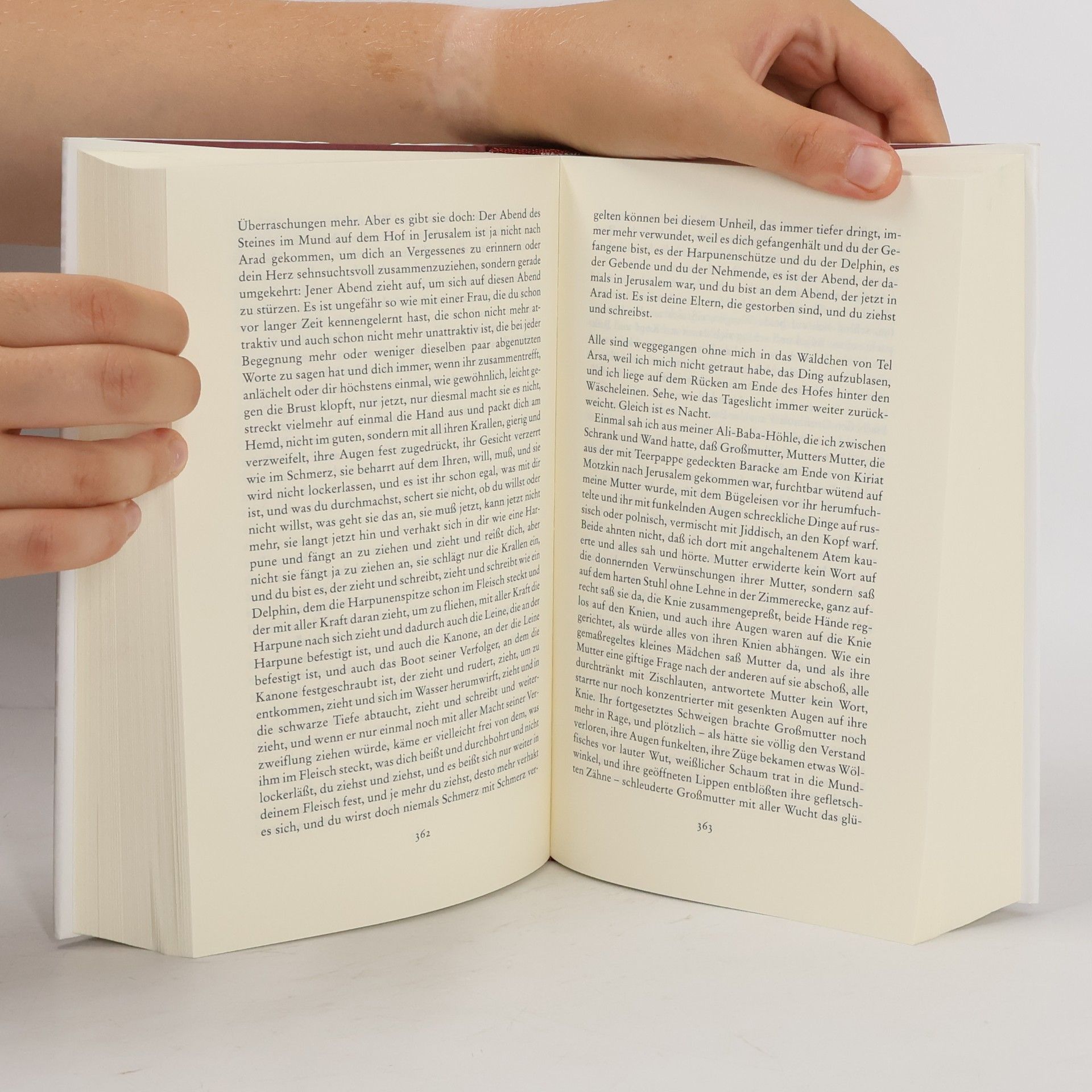 Amos Oz Eine Geschichte von Liebe und Finsternis