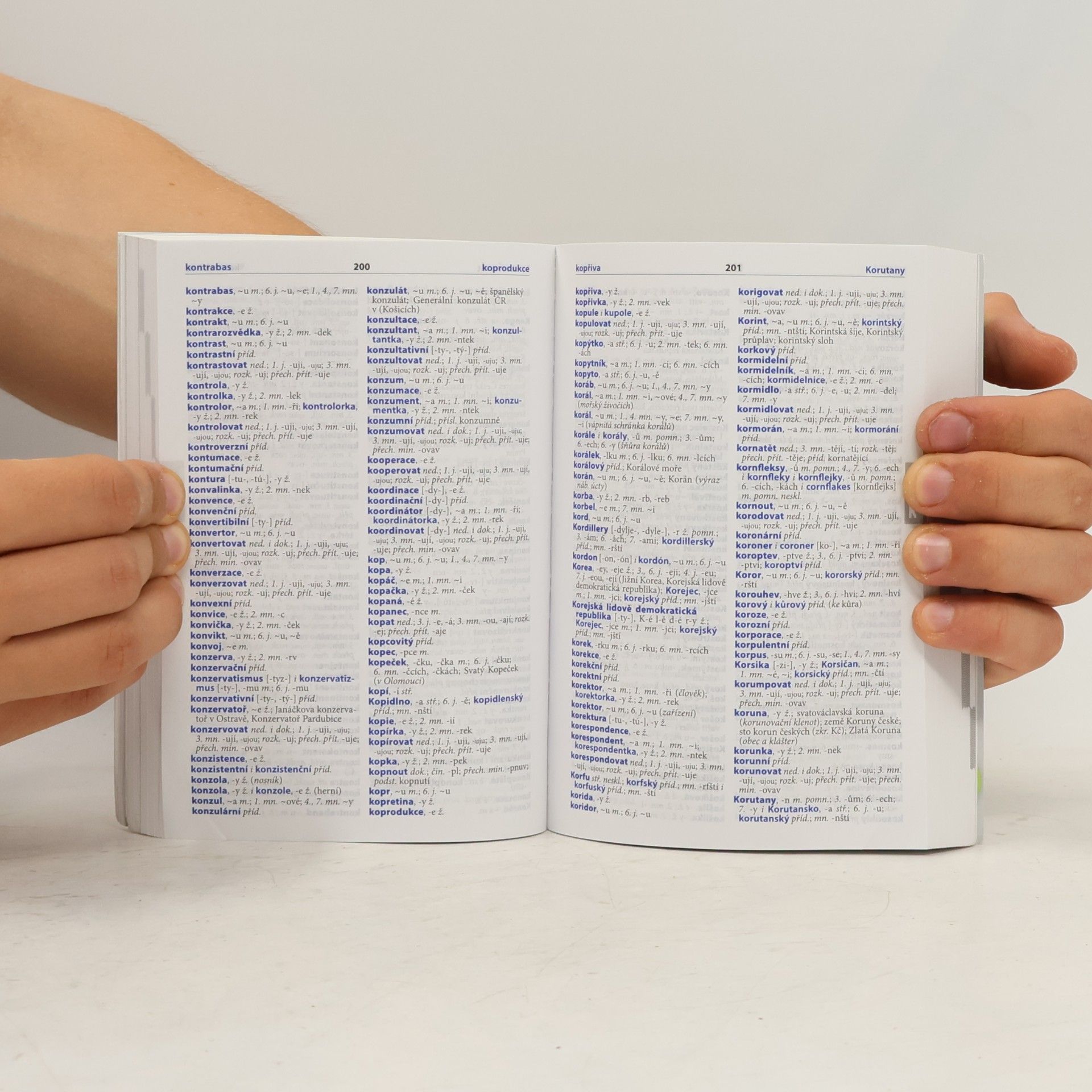 Various authors Školní pravidla českého pravopisu