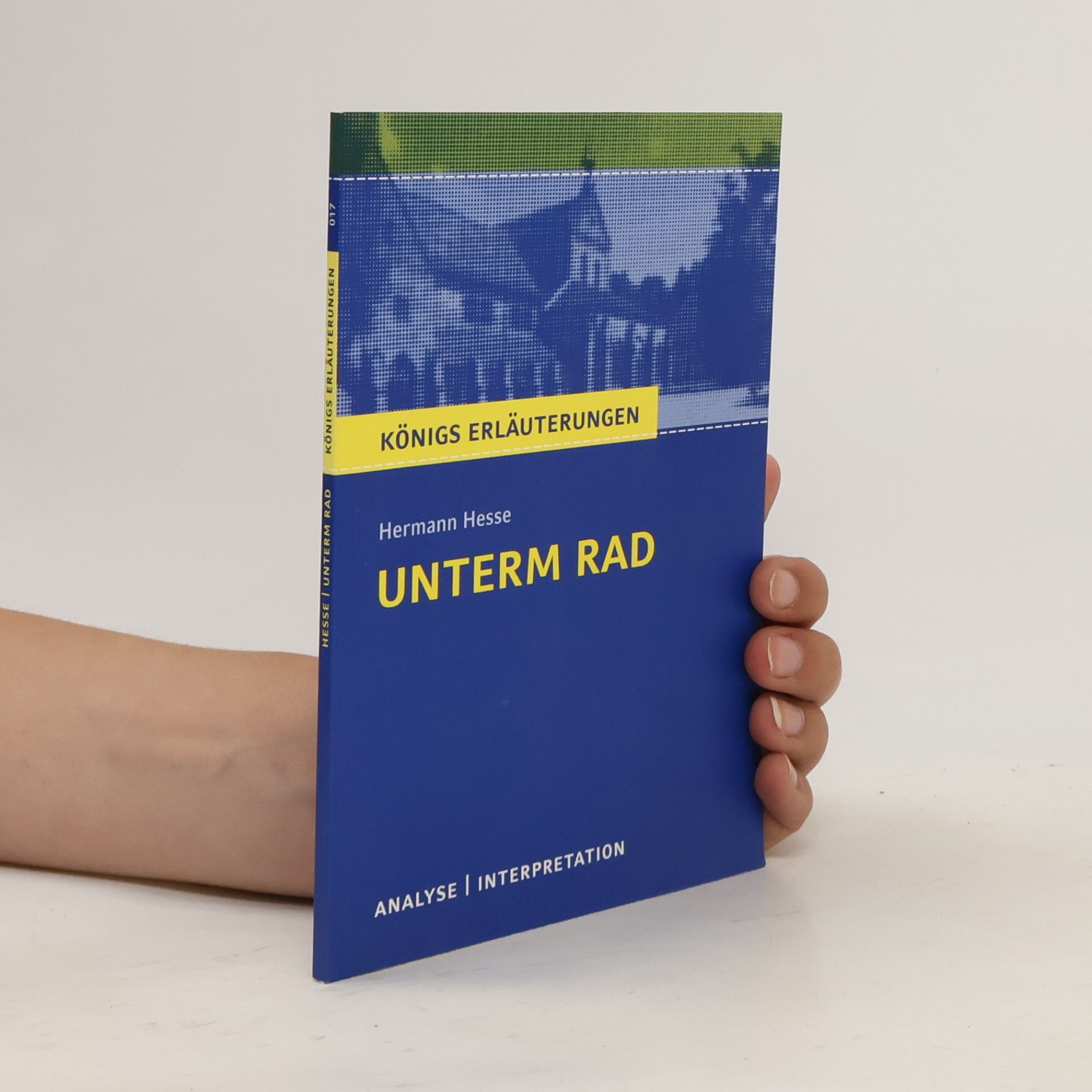 Hermann Hesse Unterm Rad. Analyse und Interpretation