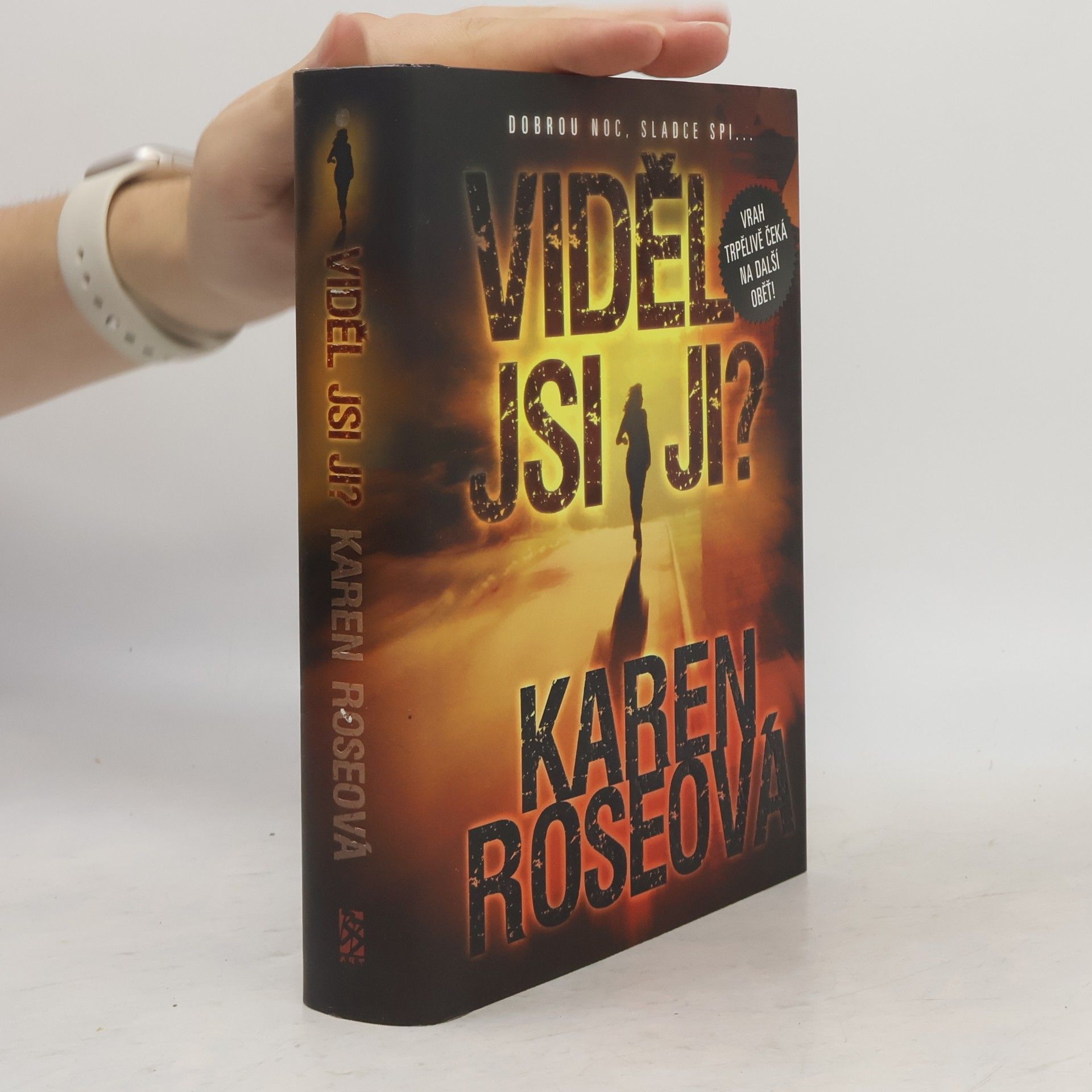 Karen Rose Viděl jsi ji?
