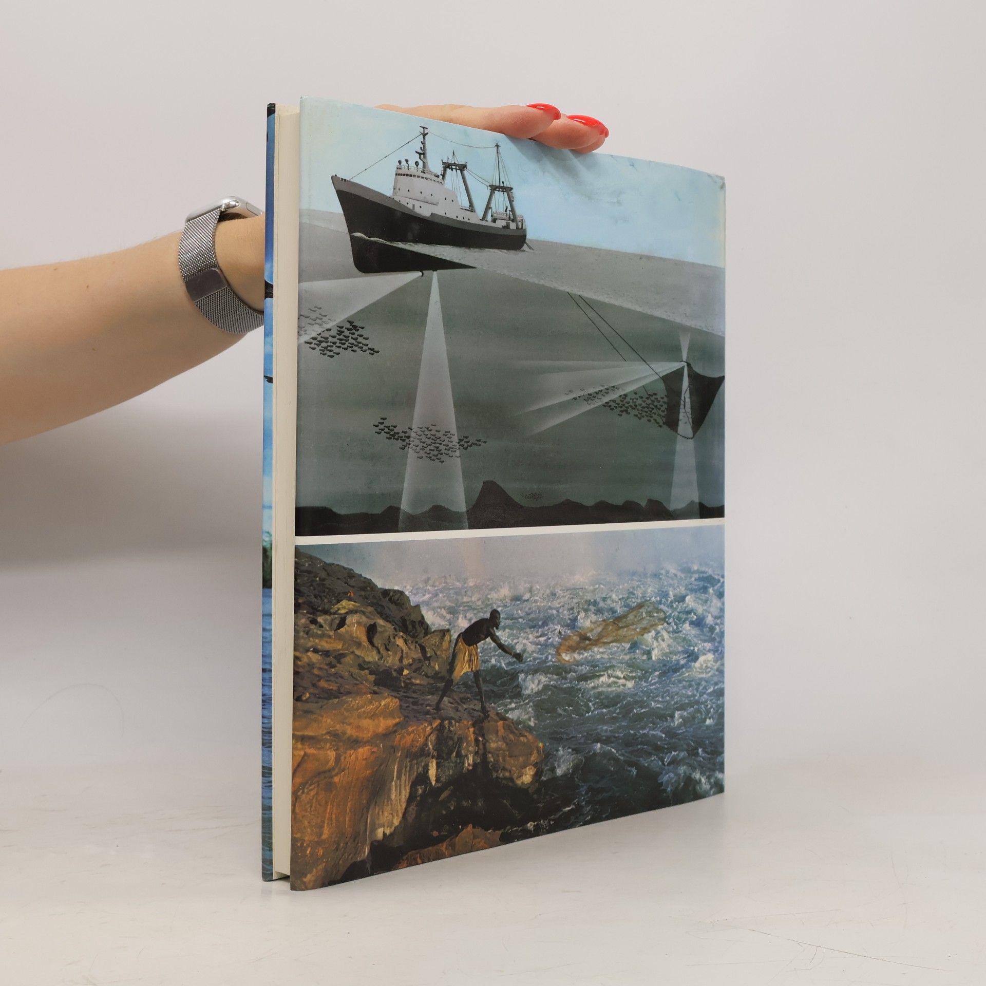 A. Brandt Das Große Buch Vom Fischfang