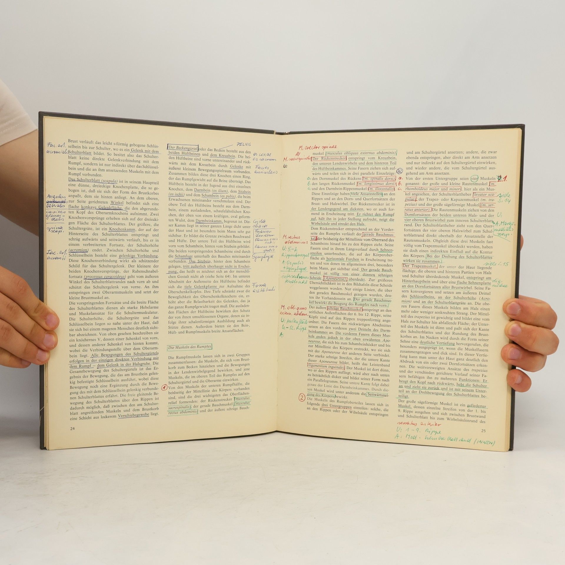 David K. Rubins Anatomie für Künstler